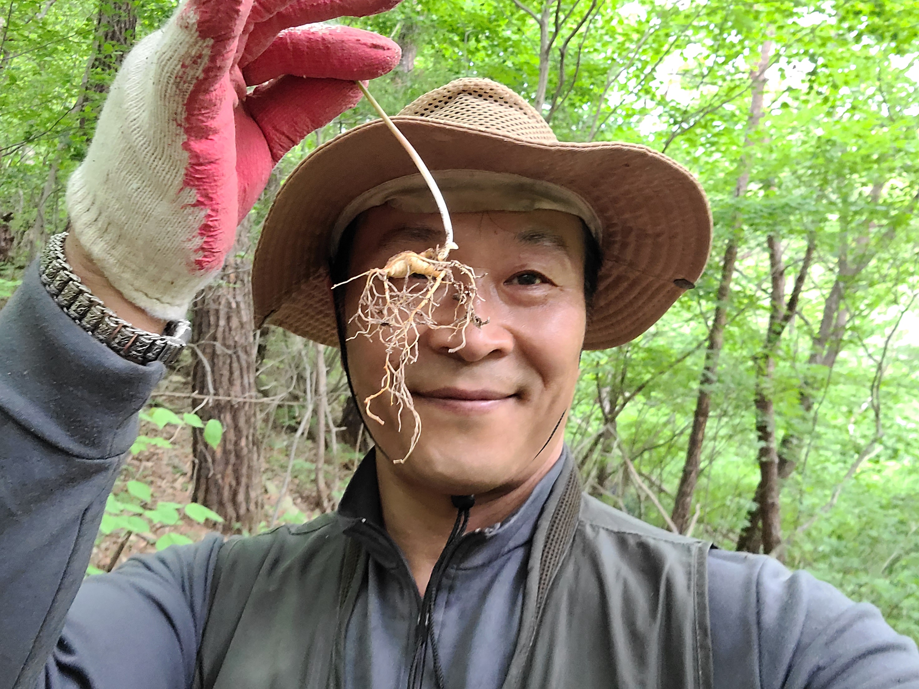 말바우 자연산 능이버섯가게