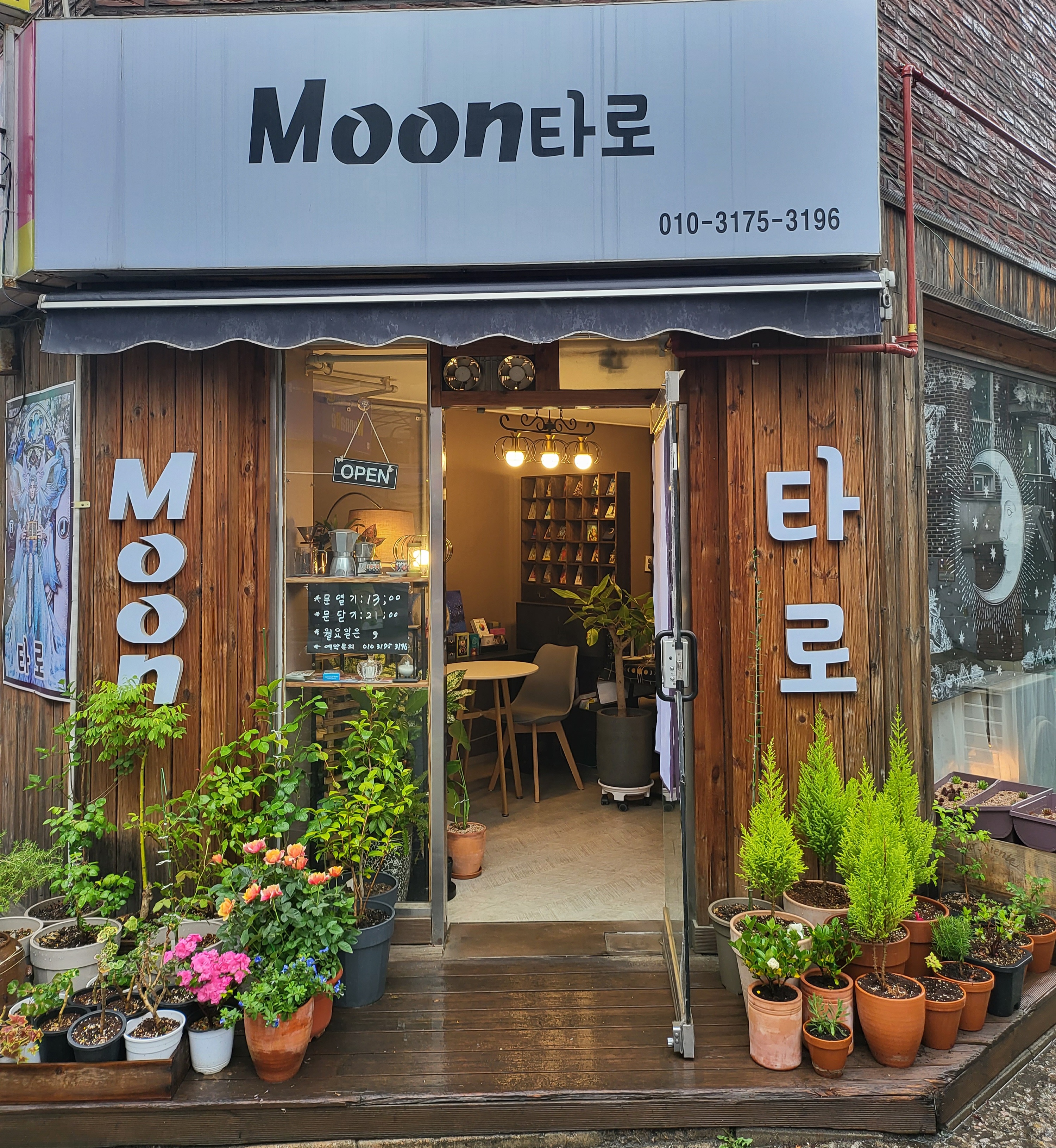 Moon 타로