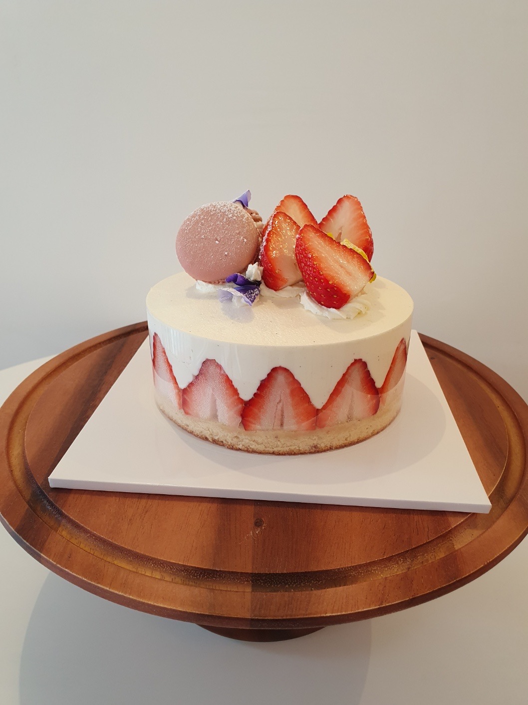 올피 부산 애견맛집