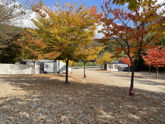 무주구천동캠핑장