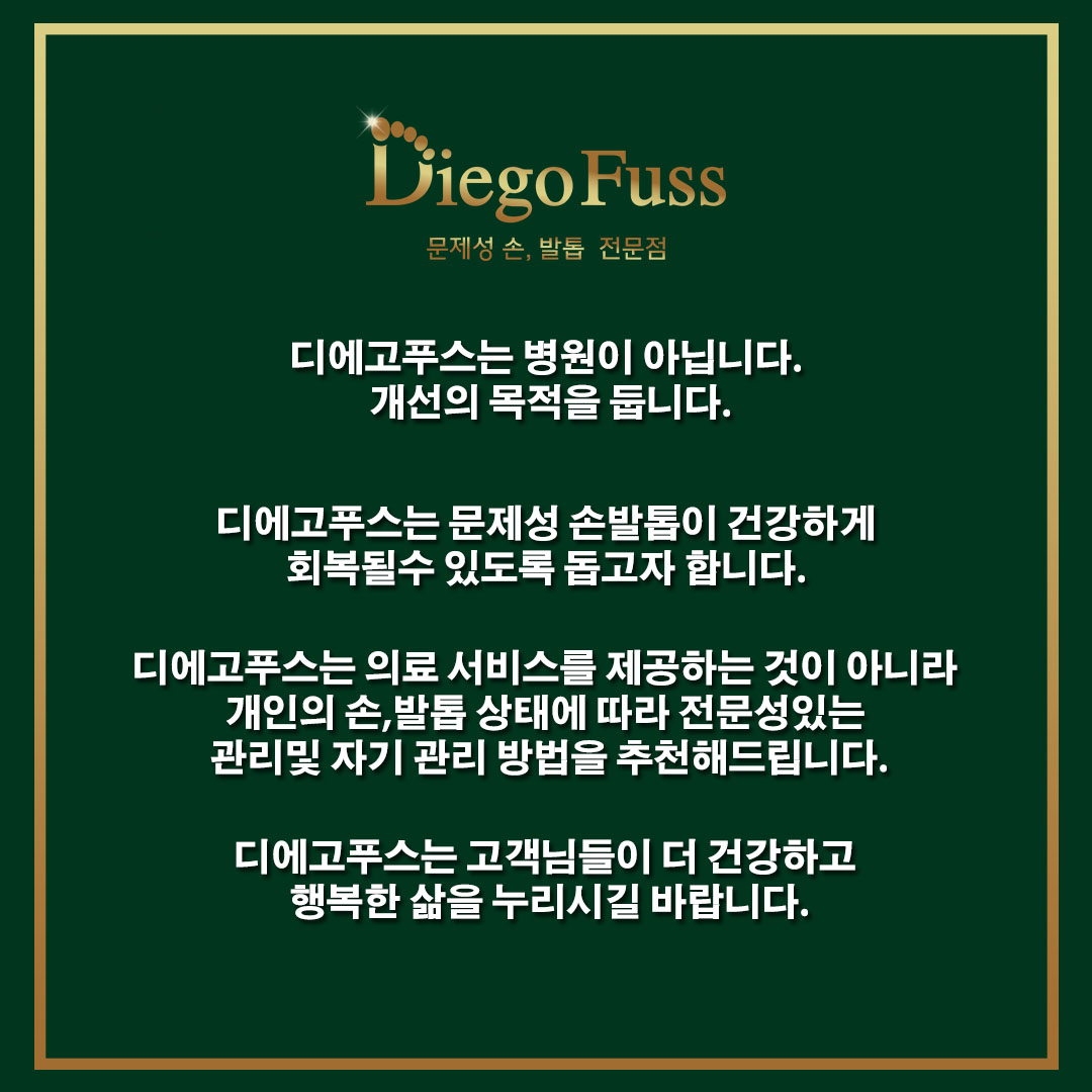 디에고푸스 희네일 이촌점
