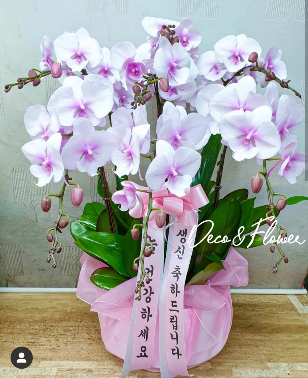 데코앤플라워