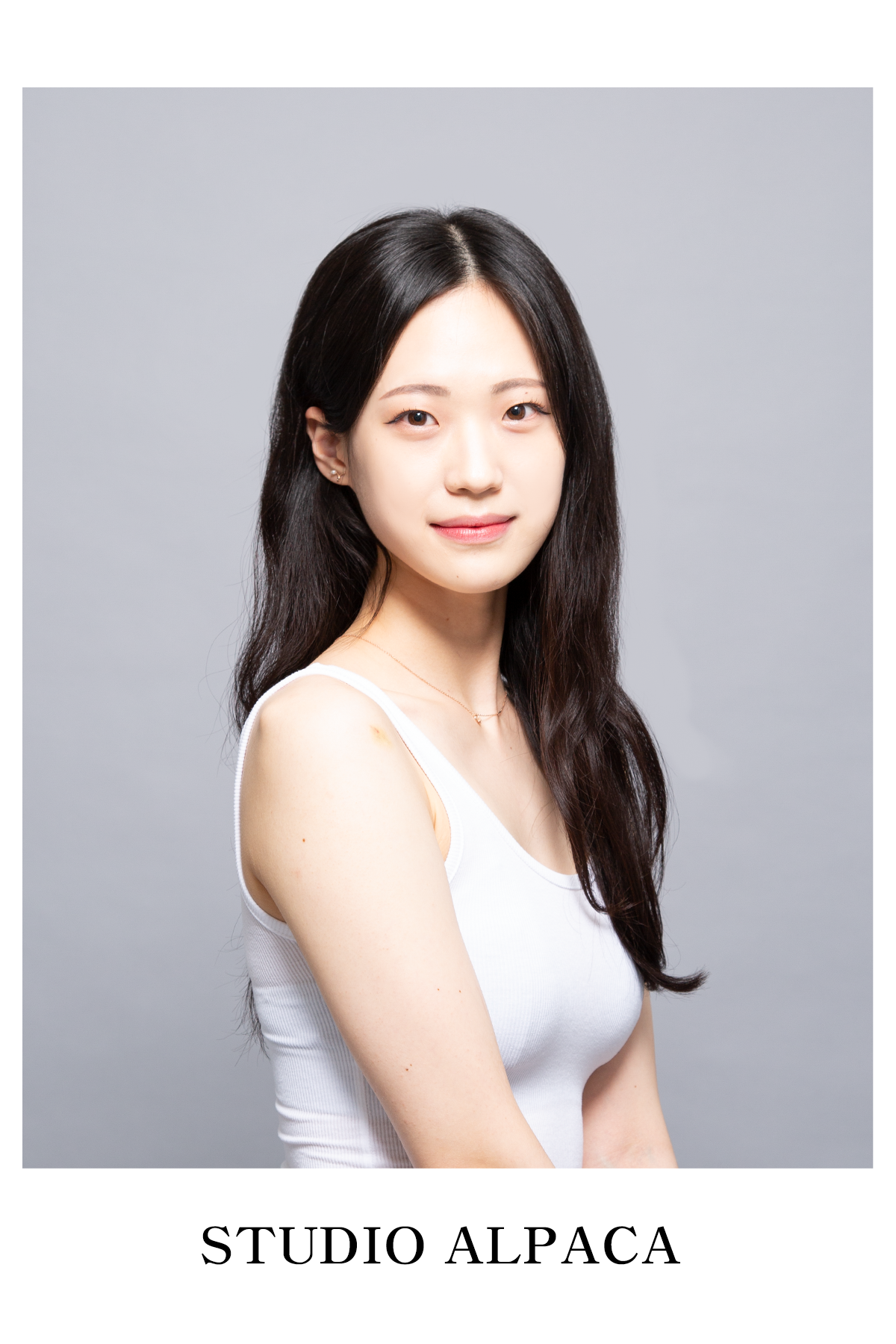 알파카스튜디오