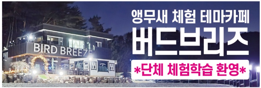 버드브리즈 설명사진