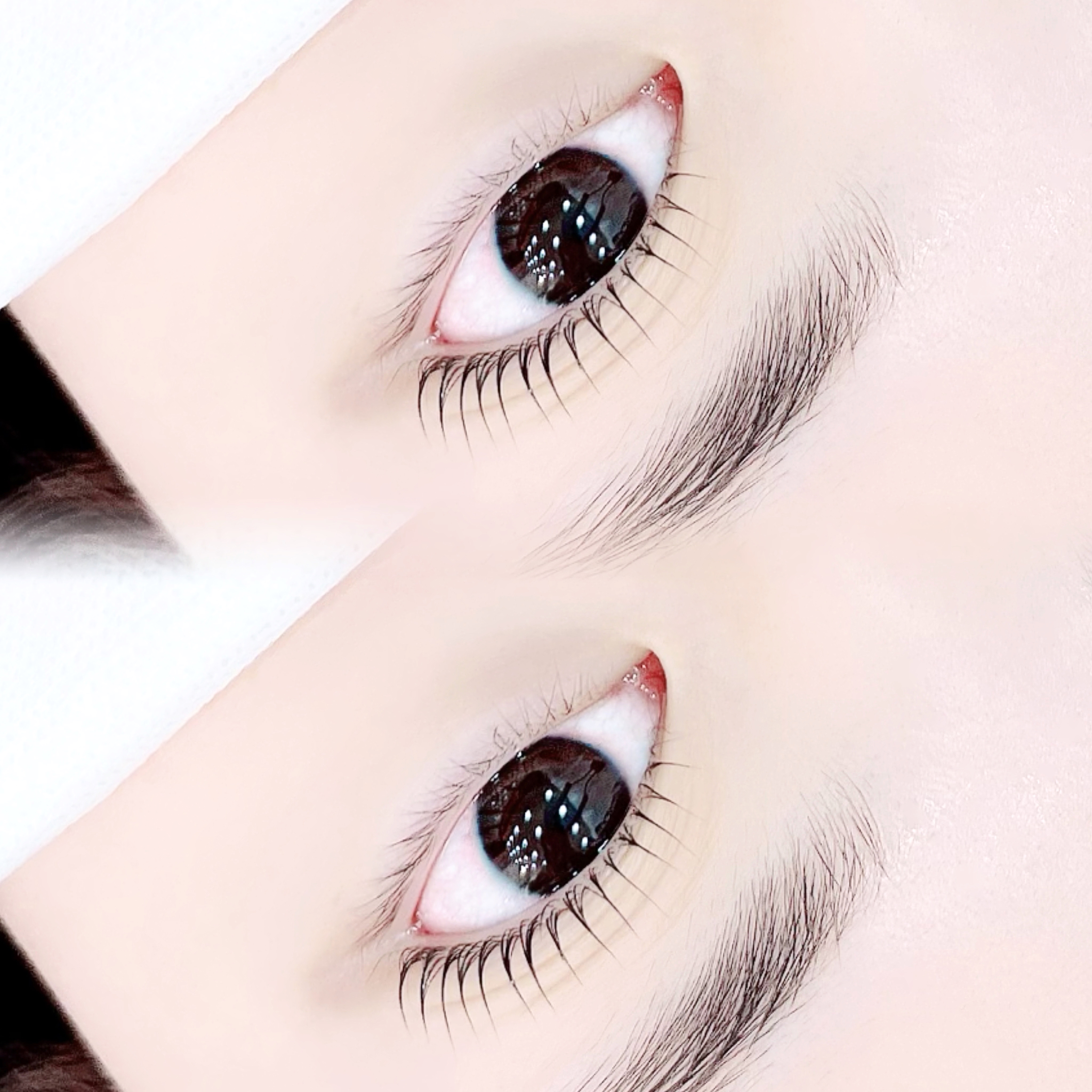 티아라속눈썹 대표 이미지