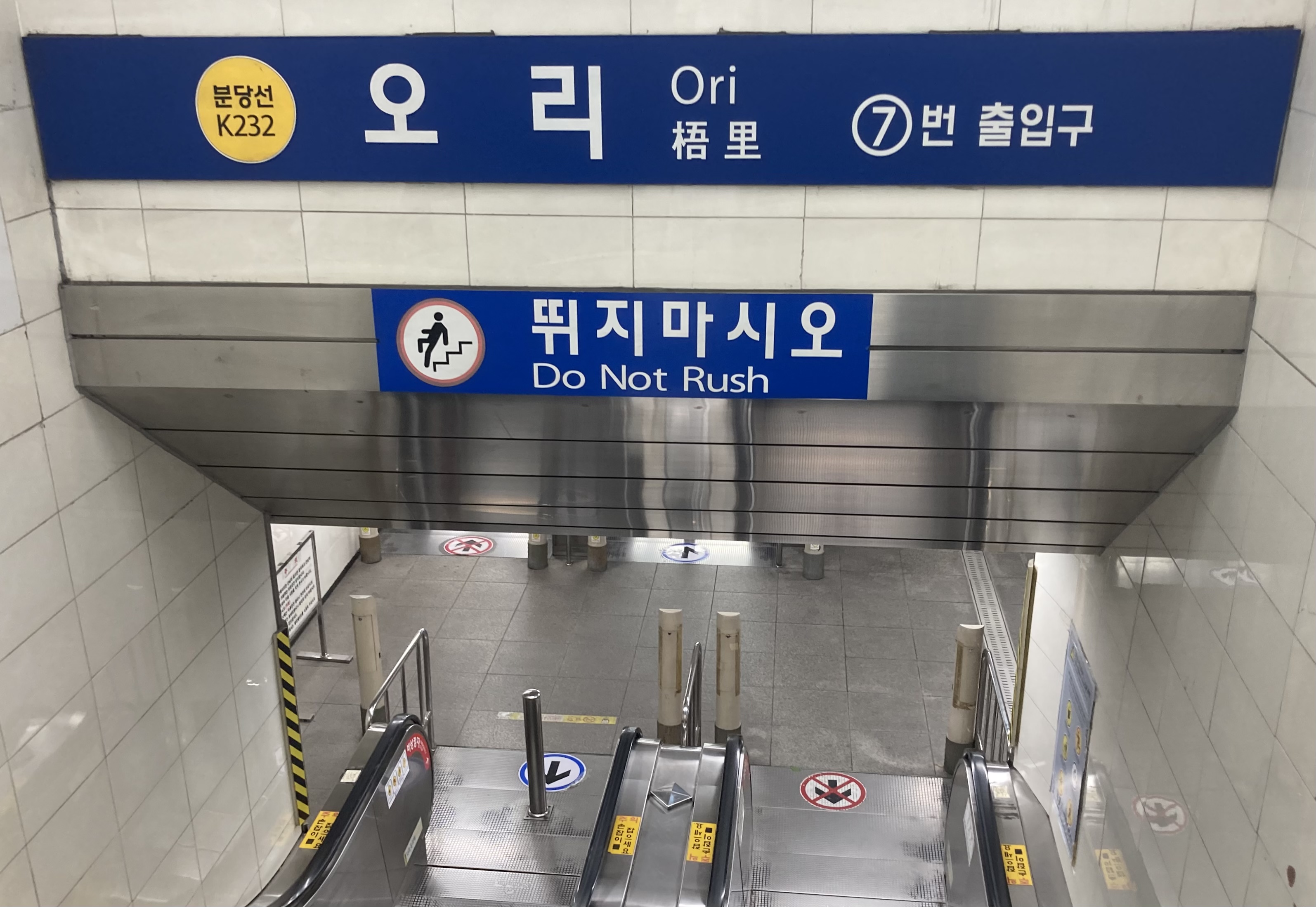 윌톡스 영어클럽
