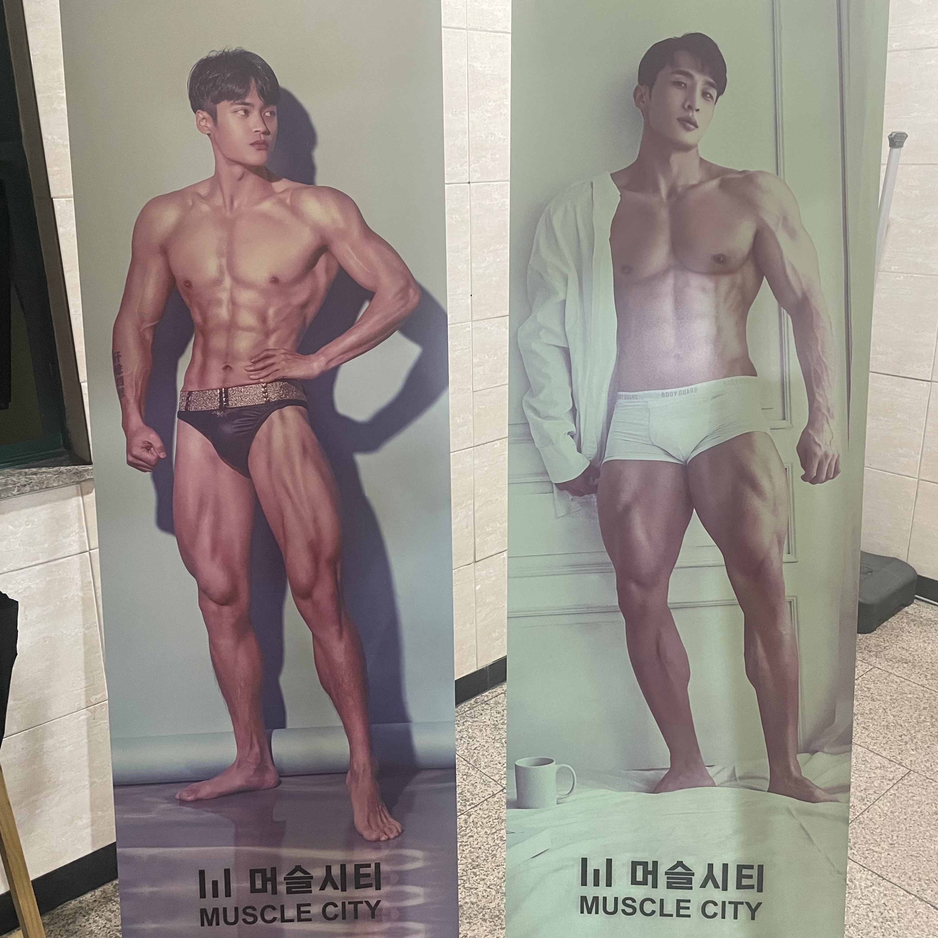 머슬시티 대표 이미지