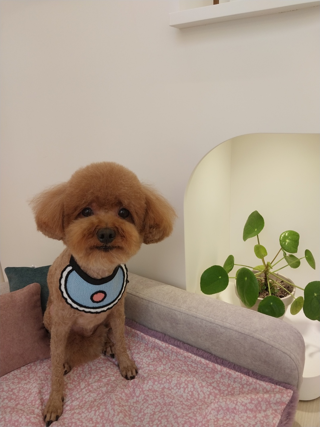모찌네 살롱 대표 이미지