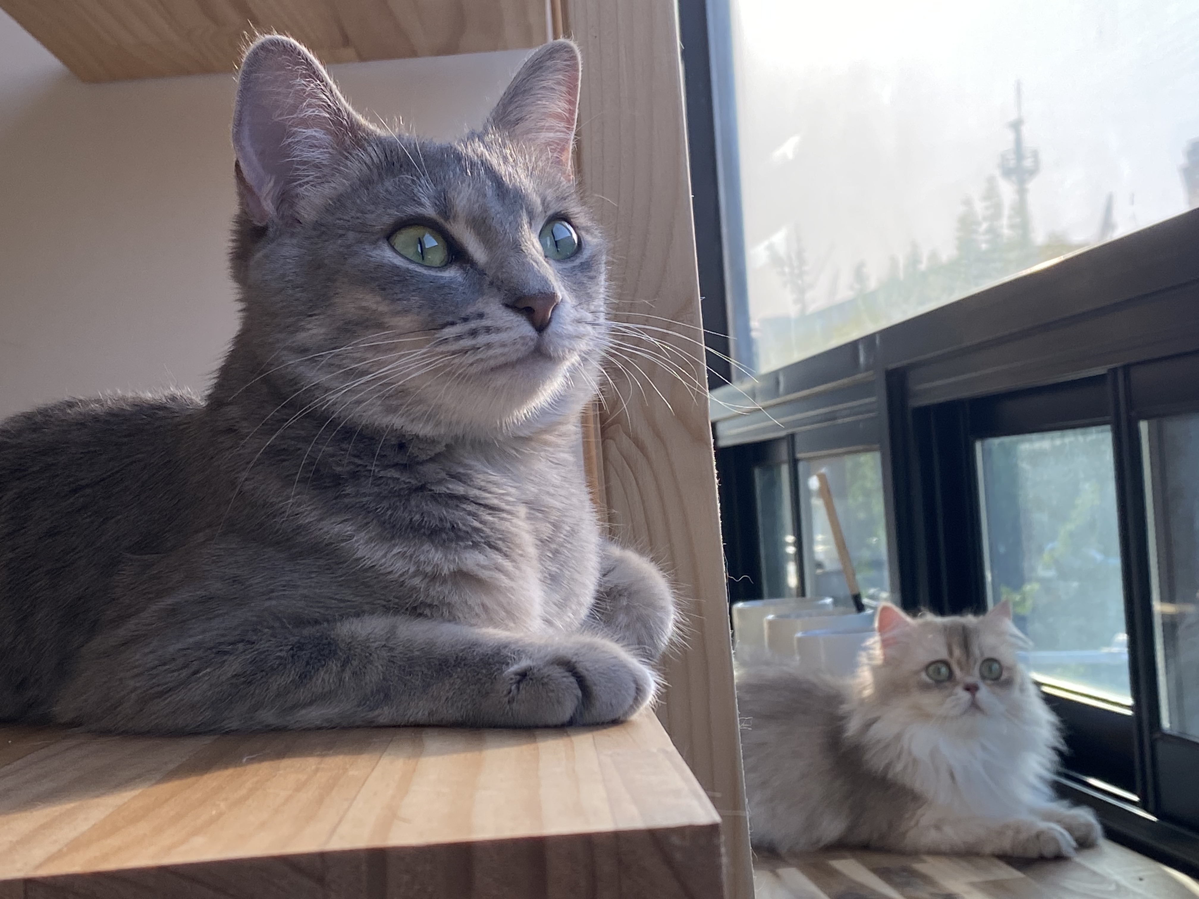 묘성급호텔 대표 이미지