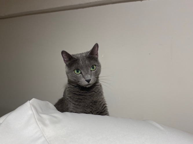 묘성급호텔 대표 이미지