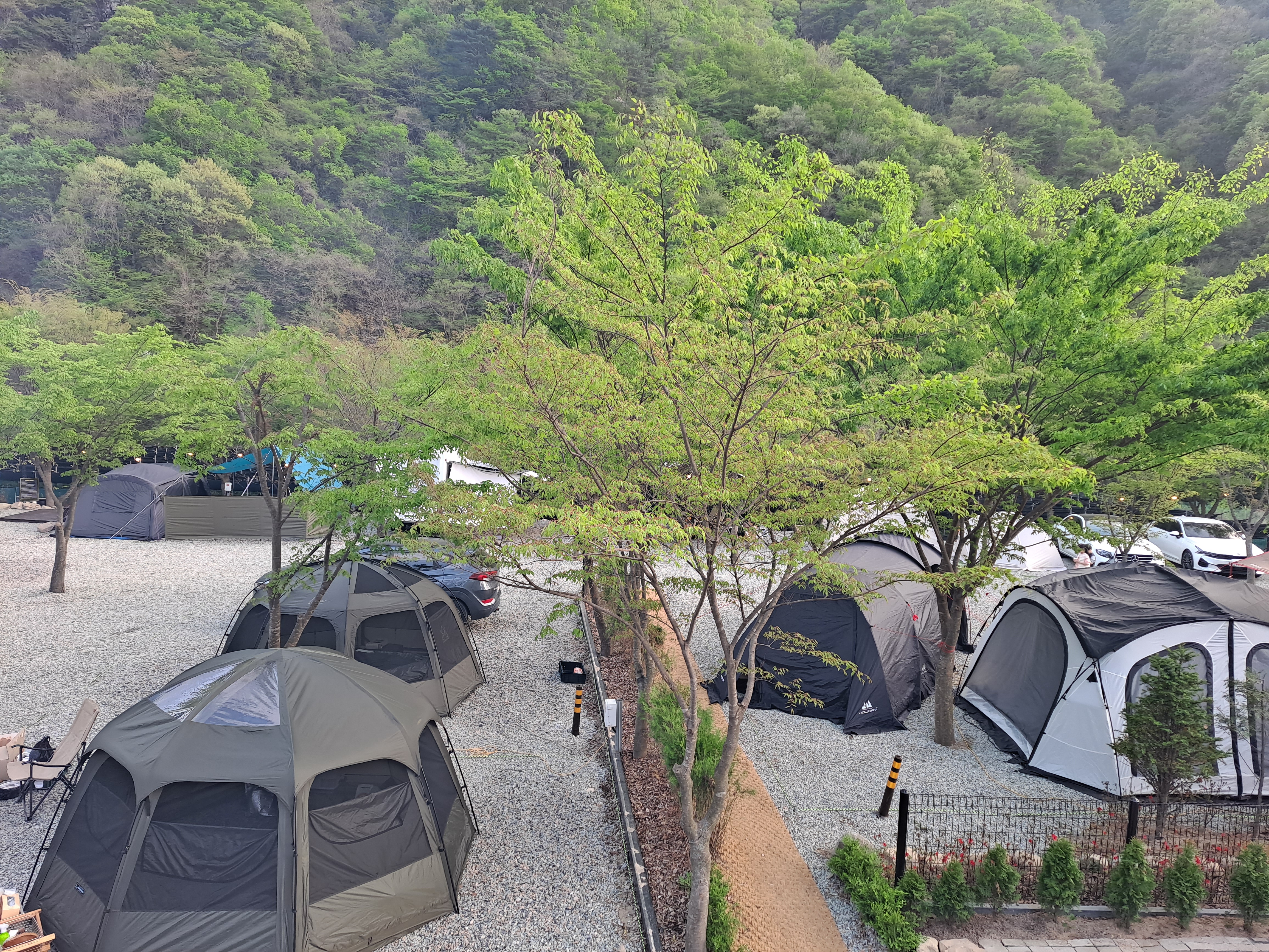 숲 스토리펜션