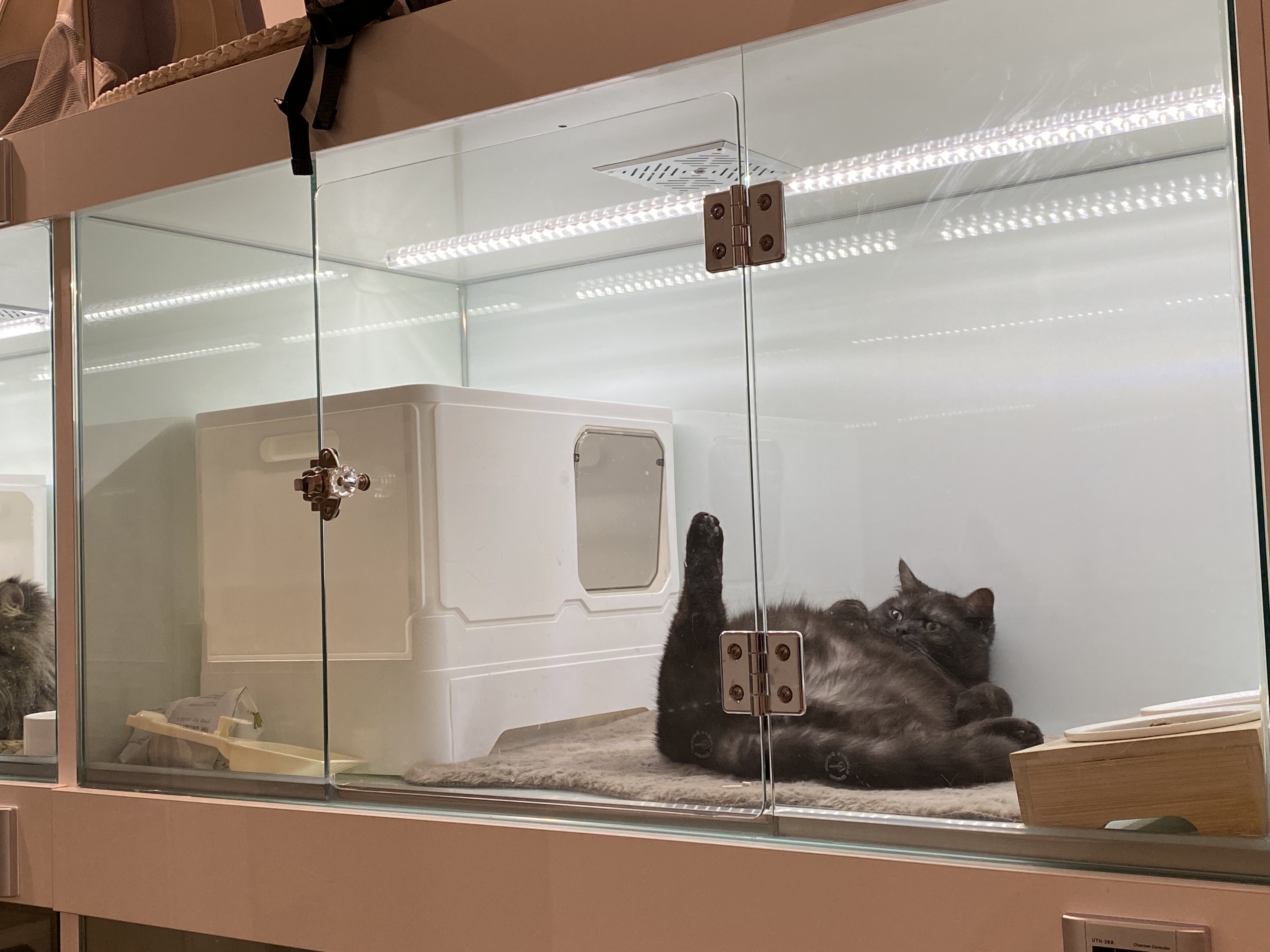 묘성급호텔 대표 이미지