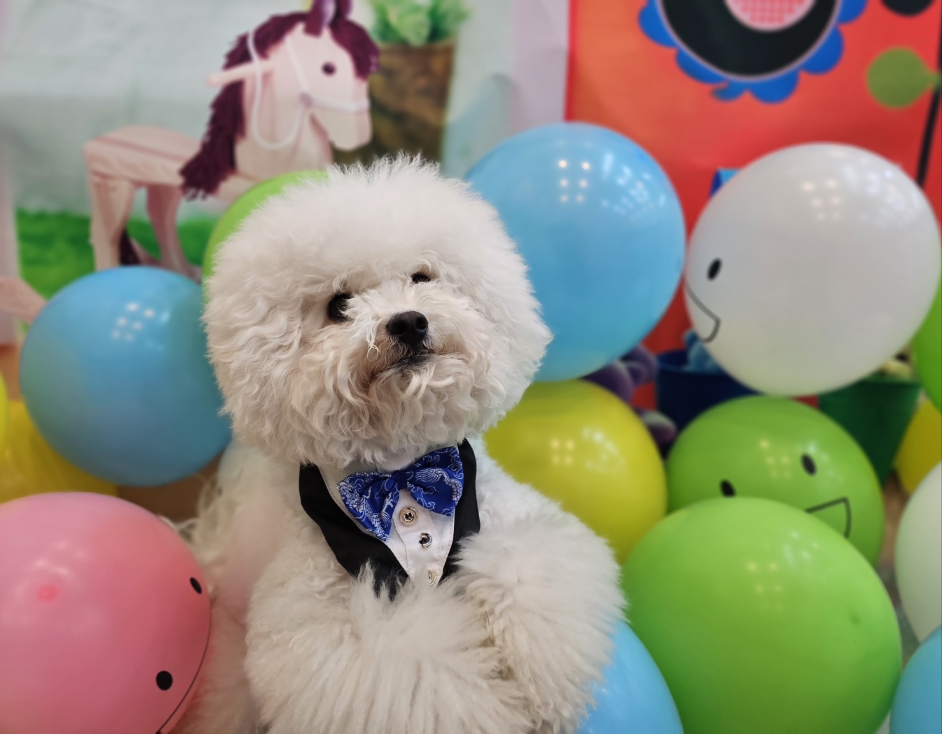 나인페츠 서울숲점 대표 이미지