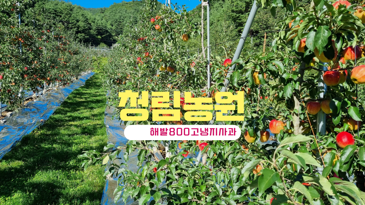 청림농원
