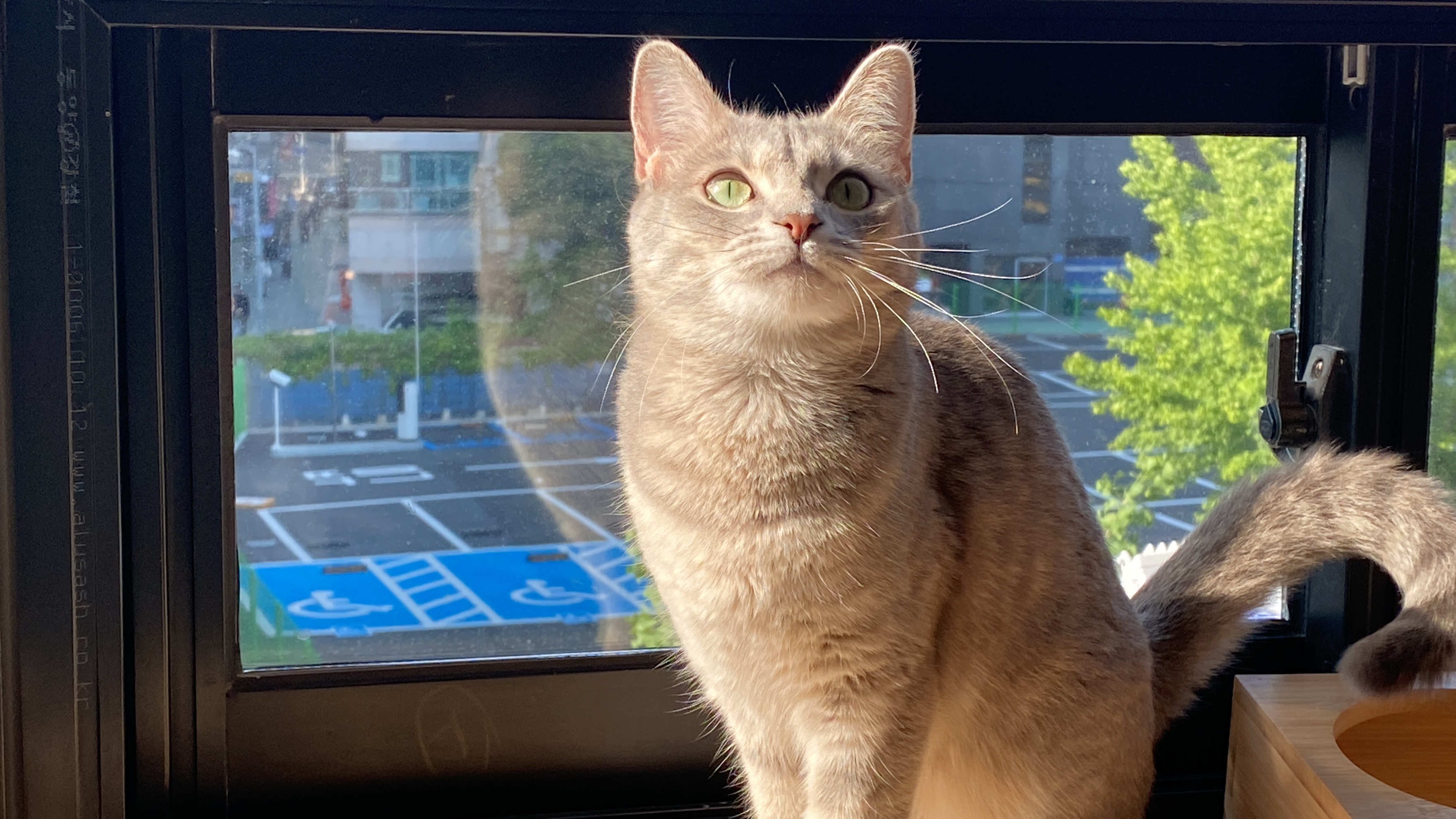 묘성급호텔 대표 이미지