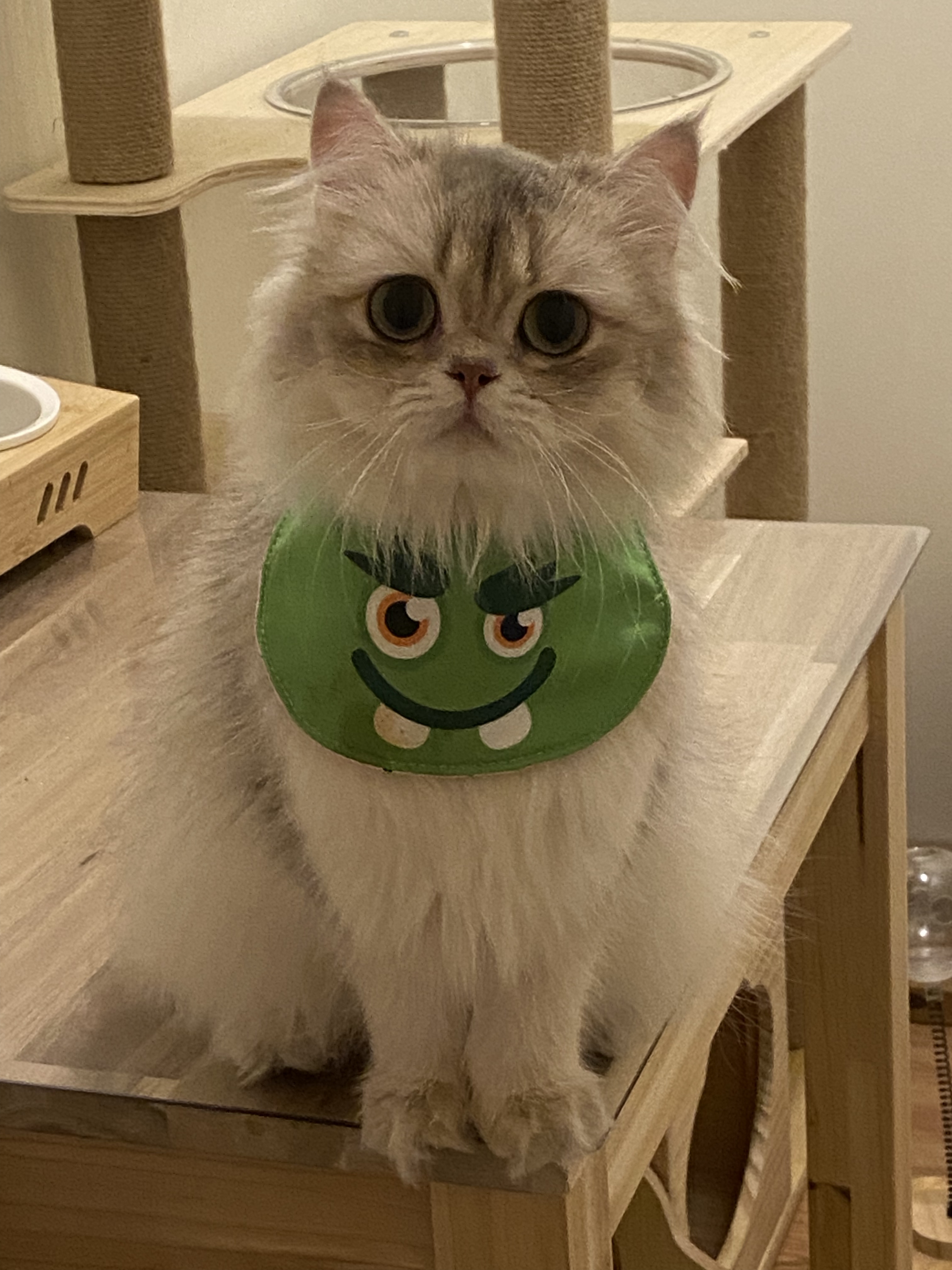 묘성급호텔 대표 이미지