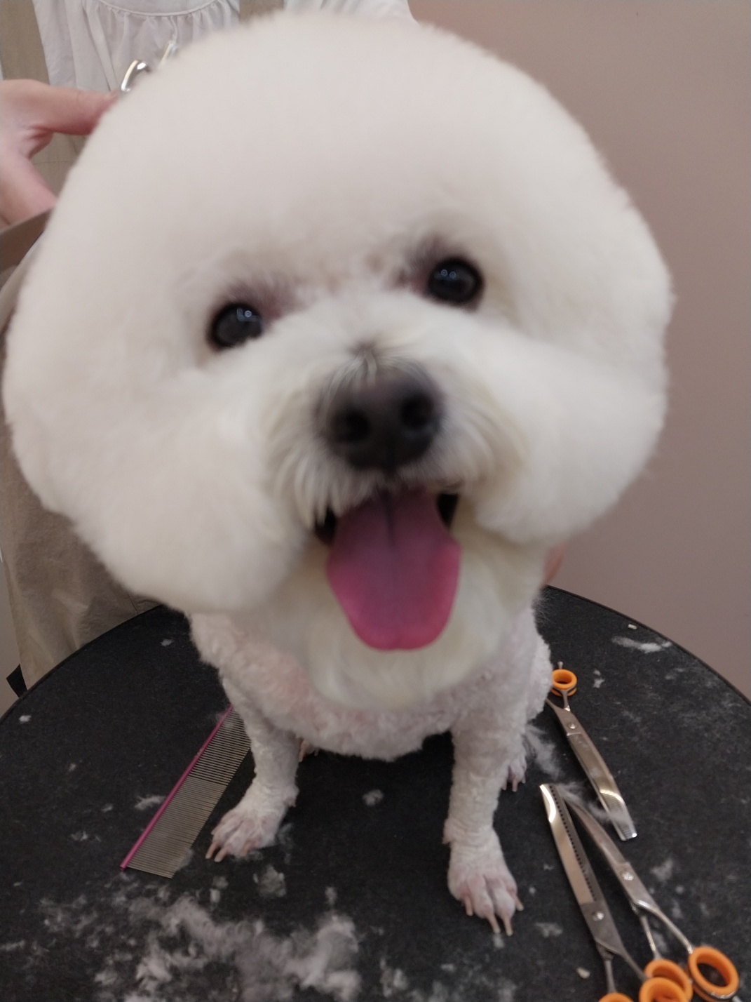 모찌네 살롱 대표 이미지