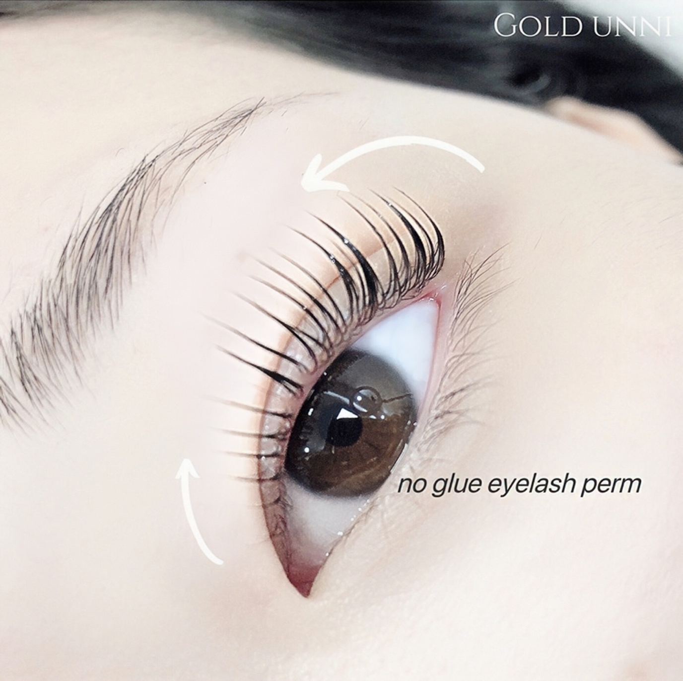 금언니 대표 이미지