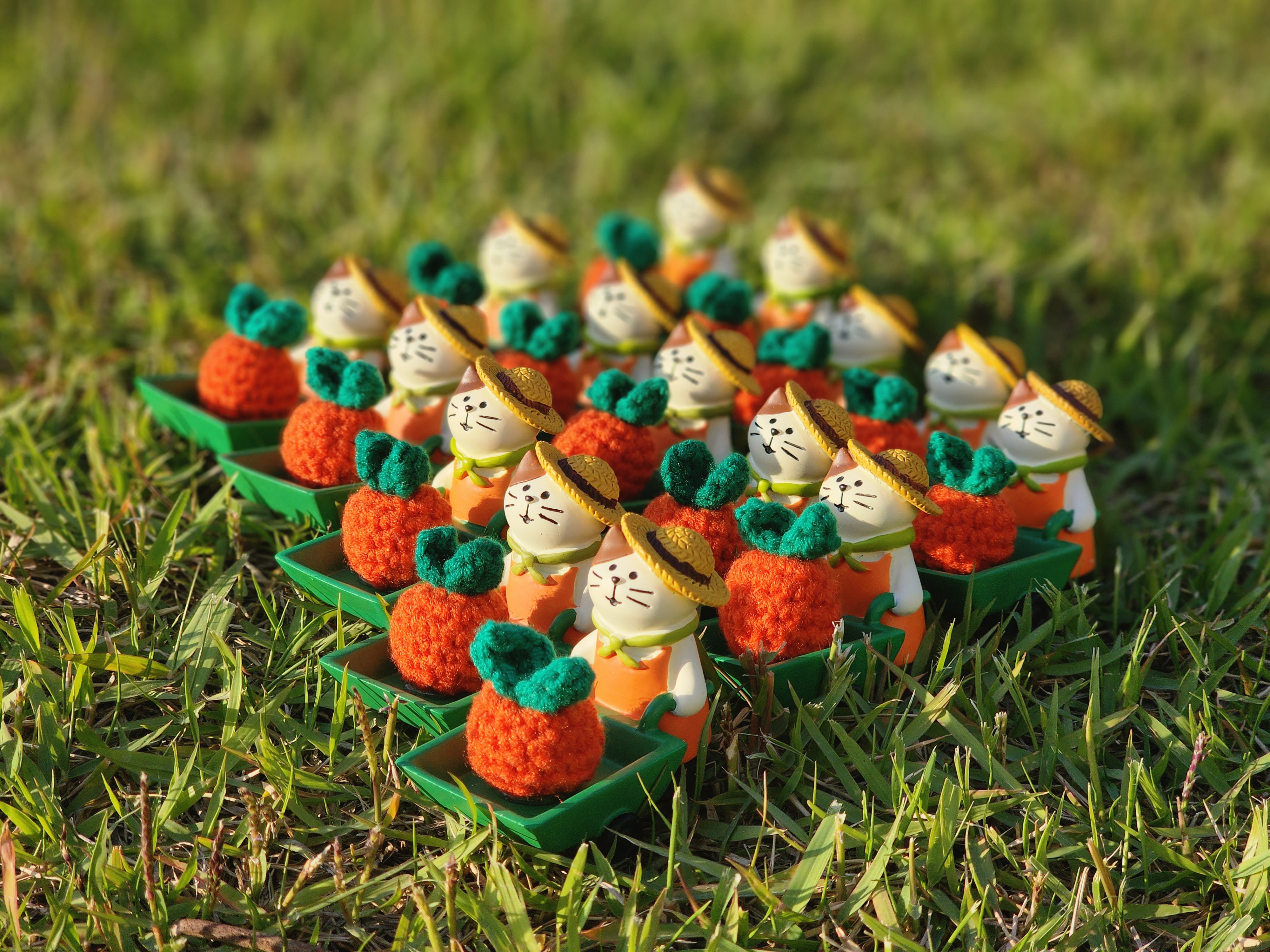 제주소품샵 올망 대표 이미지