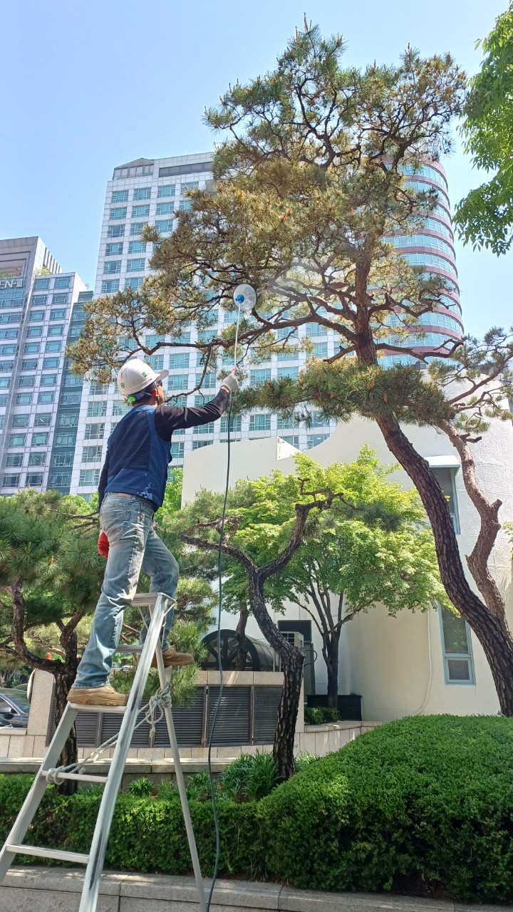 송림조경