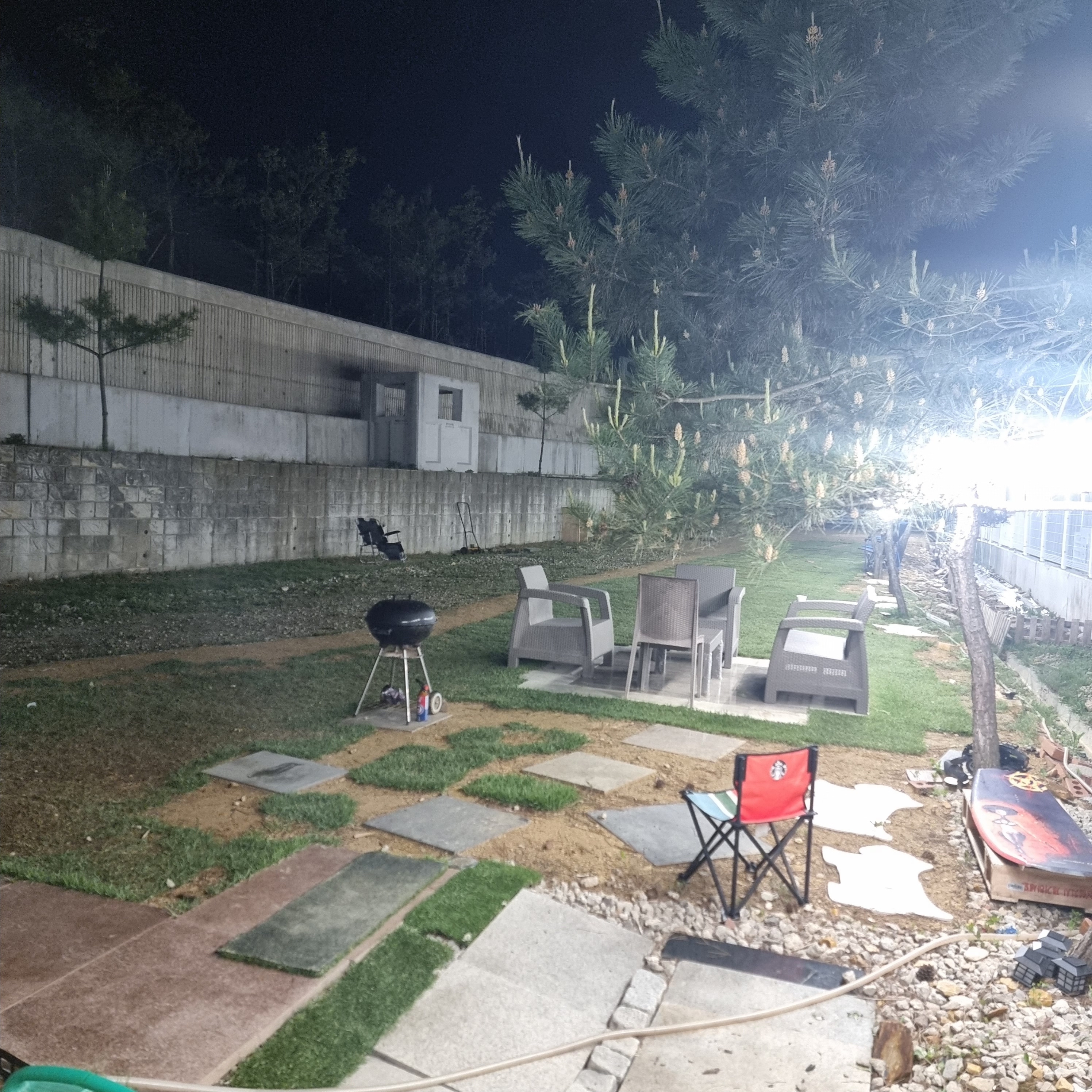 벙커독