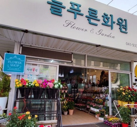 늘푸른화원