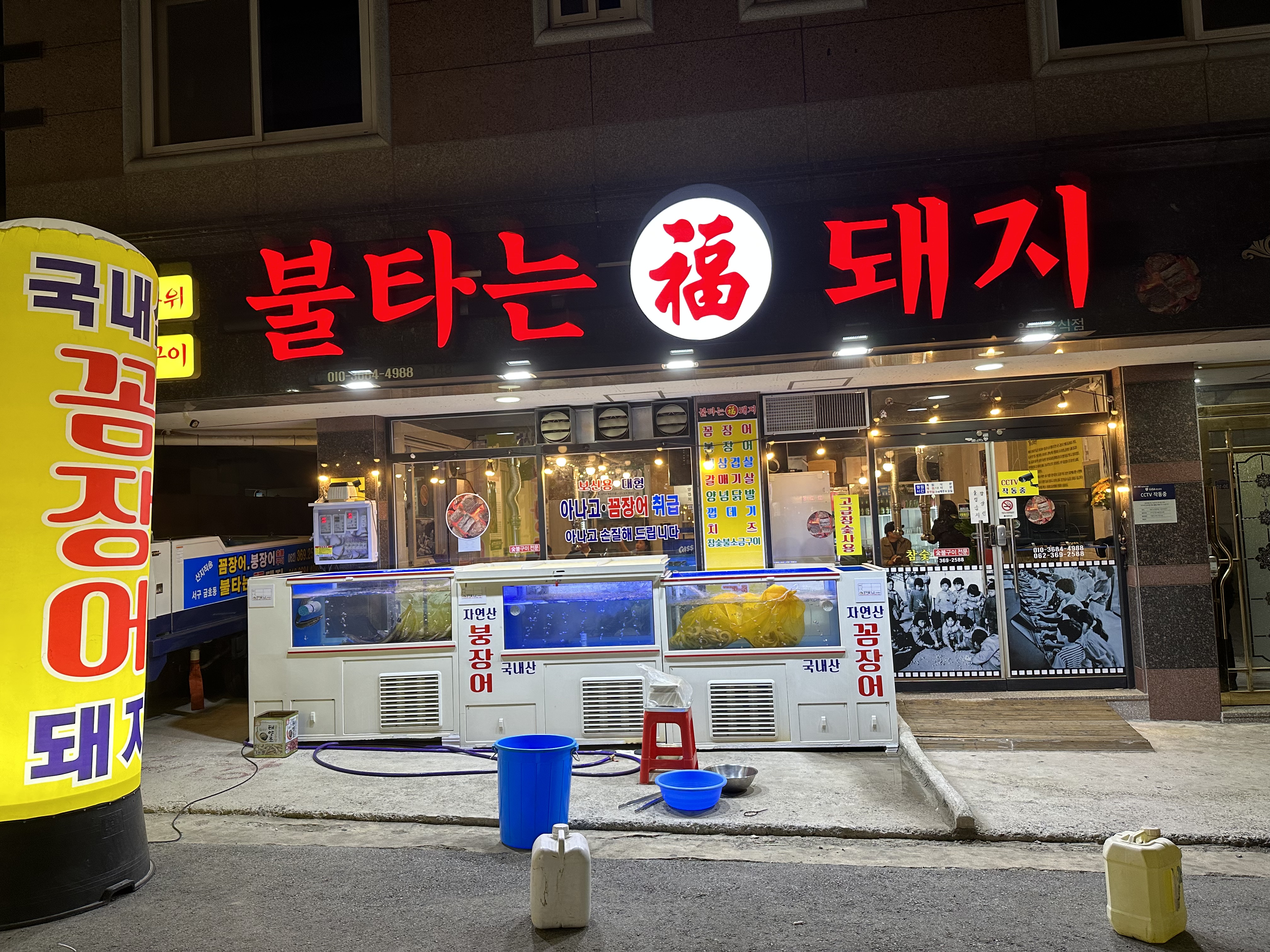 불타는 복돼지