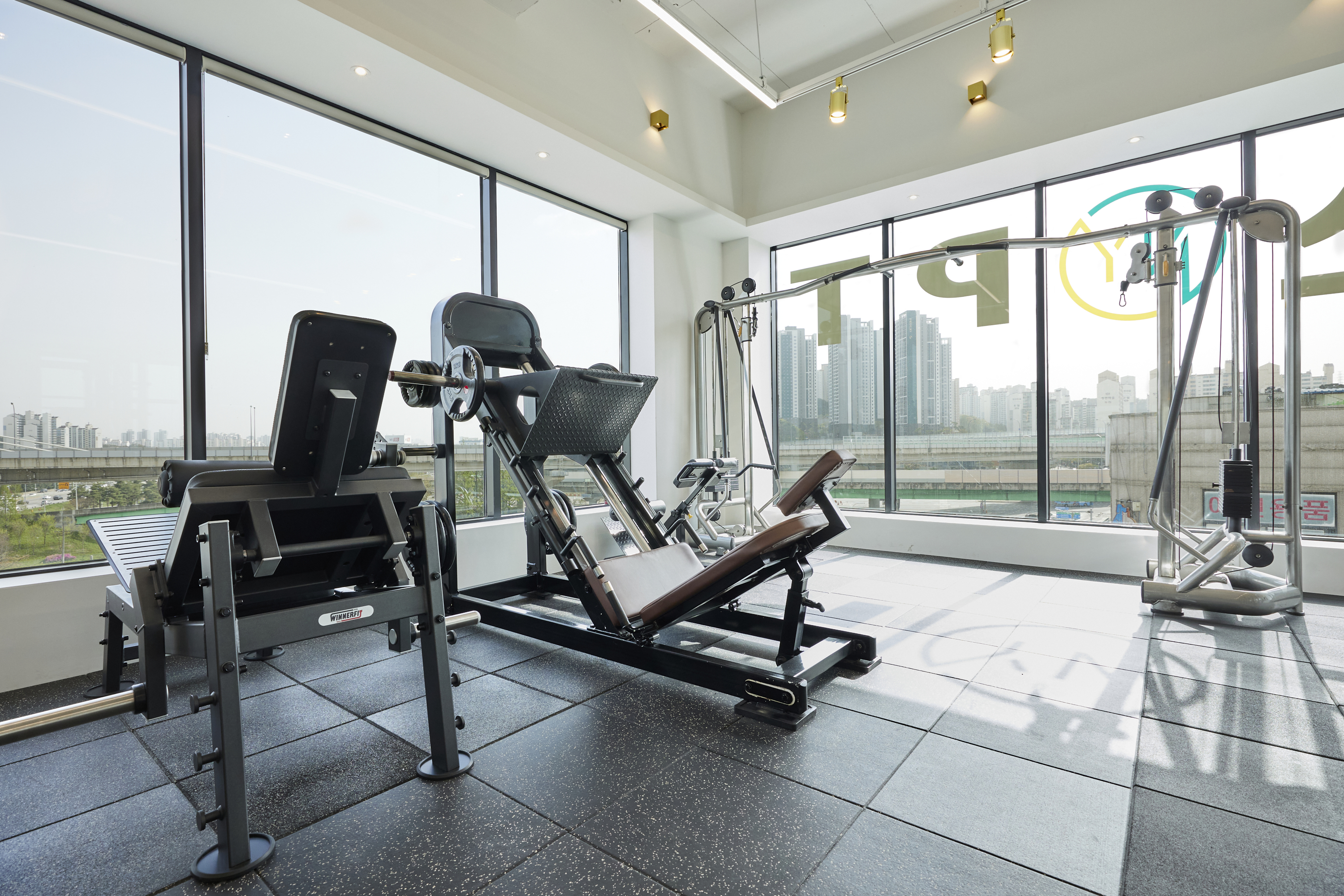 NY GYM 뉴욕짐 헬스 PT
