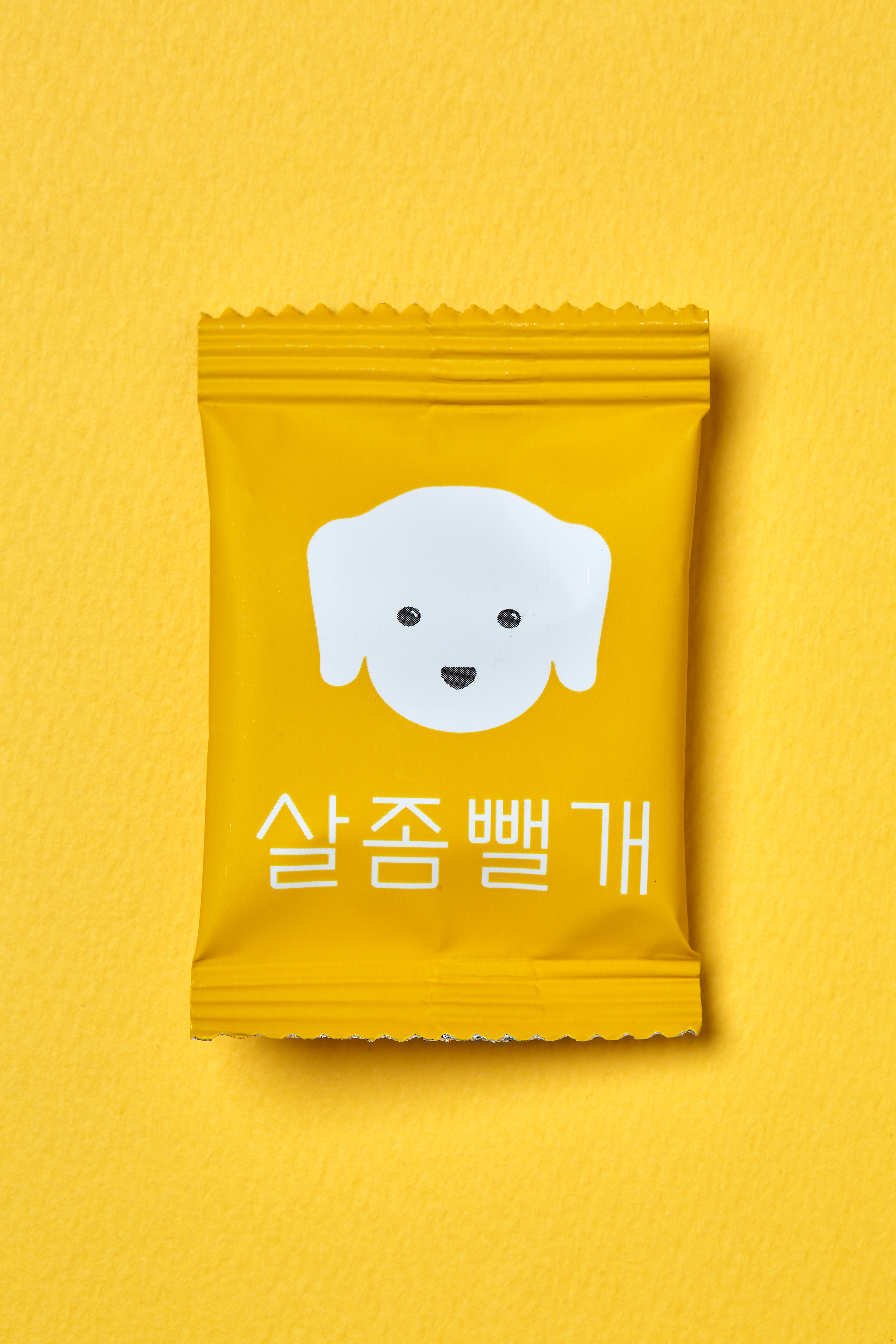 사사견견 대표 이미지