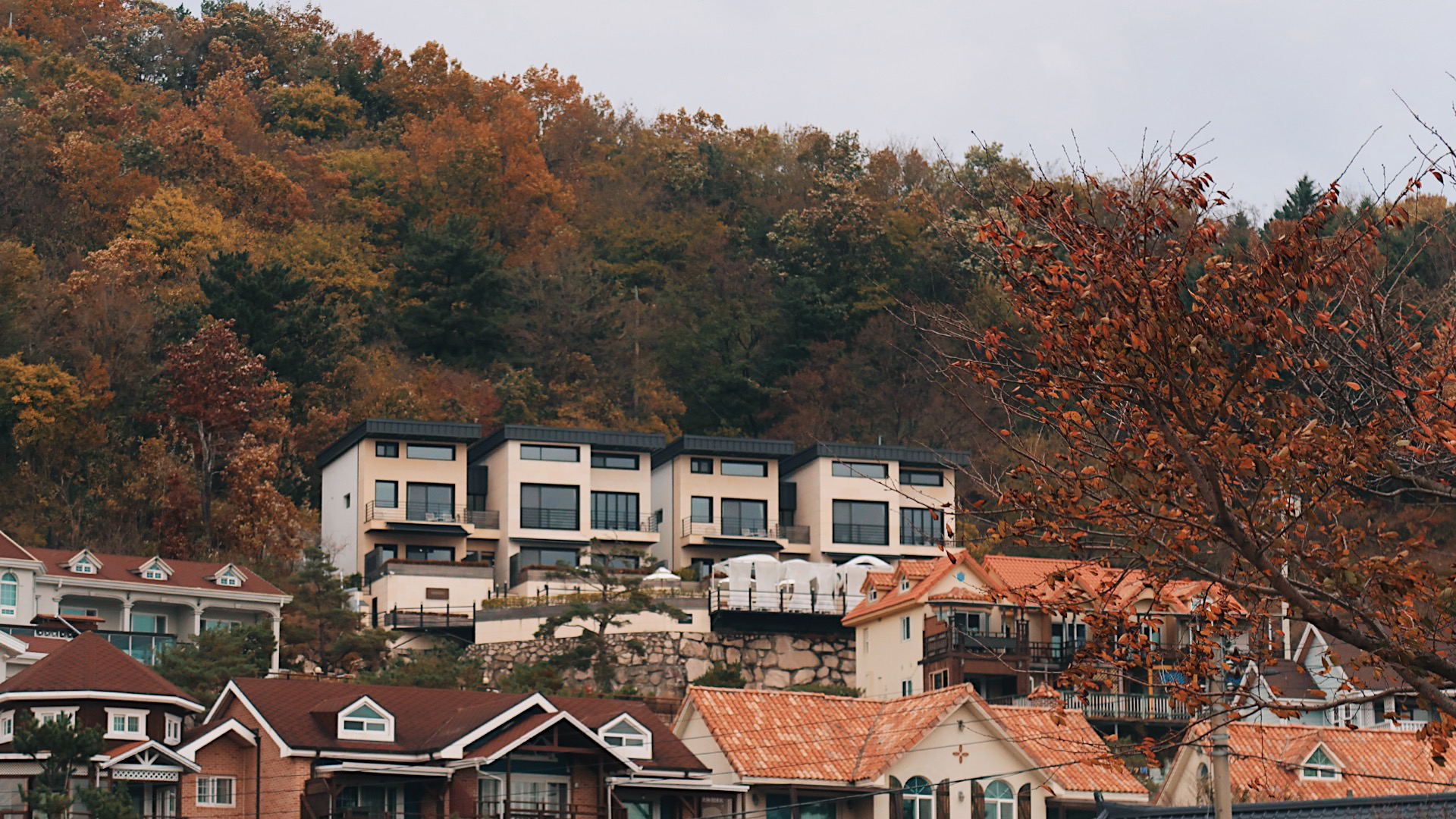헤이븐