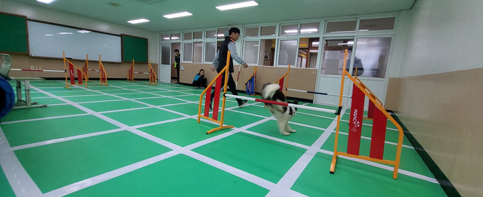 부산반려동물학교 대표 이미지