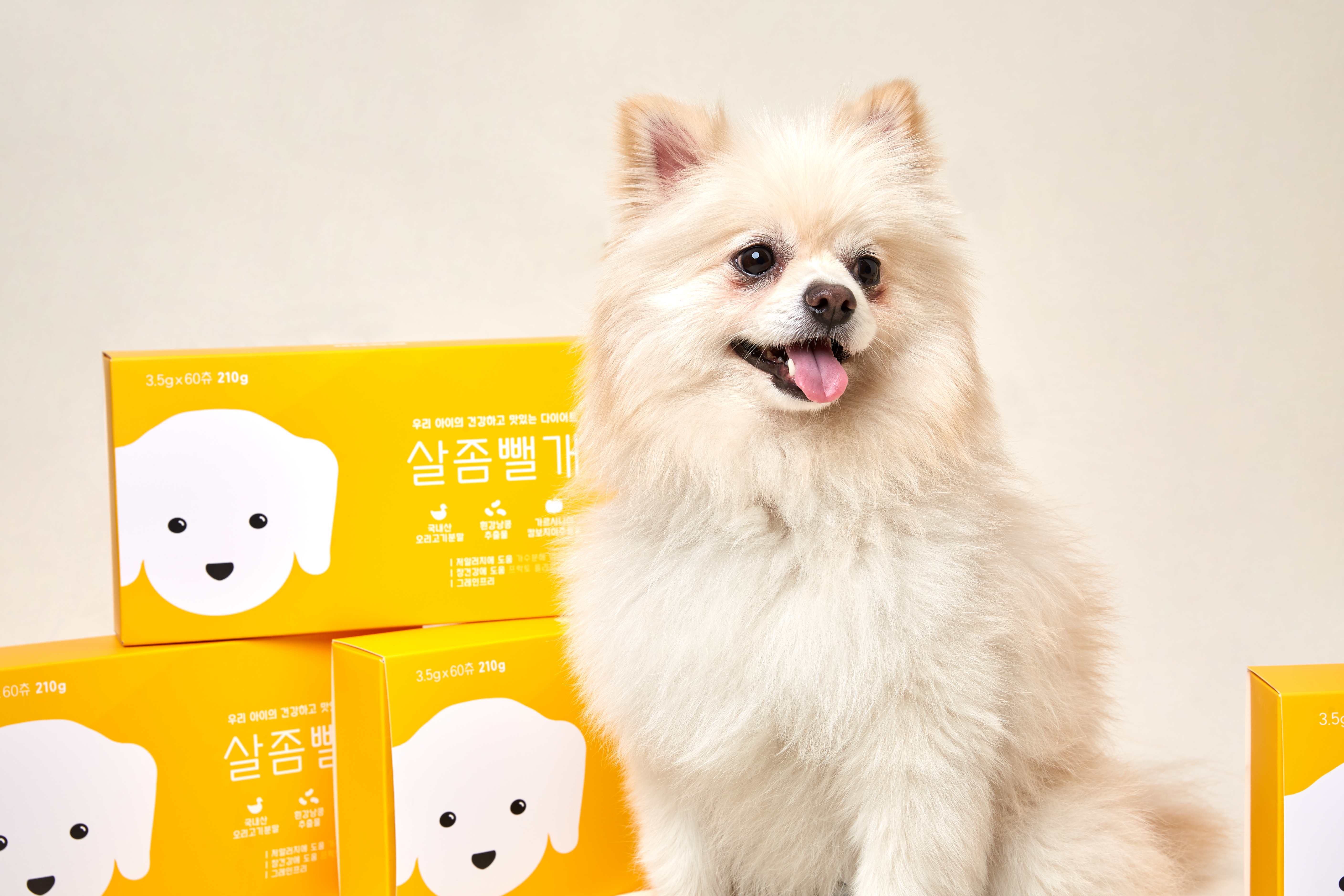 사사견견 대표 이미지