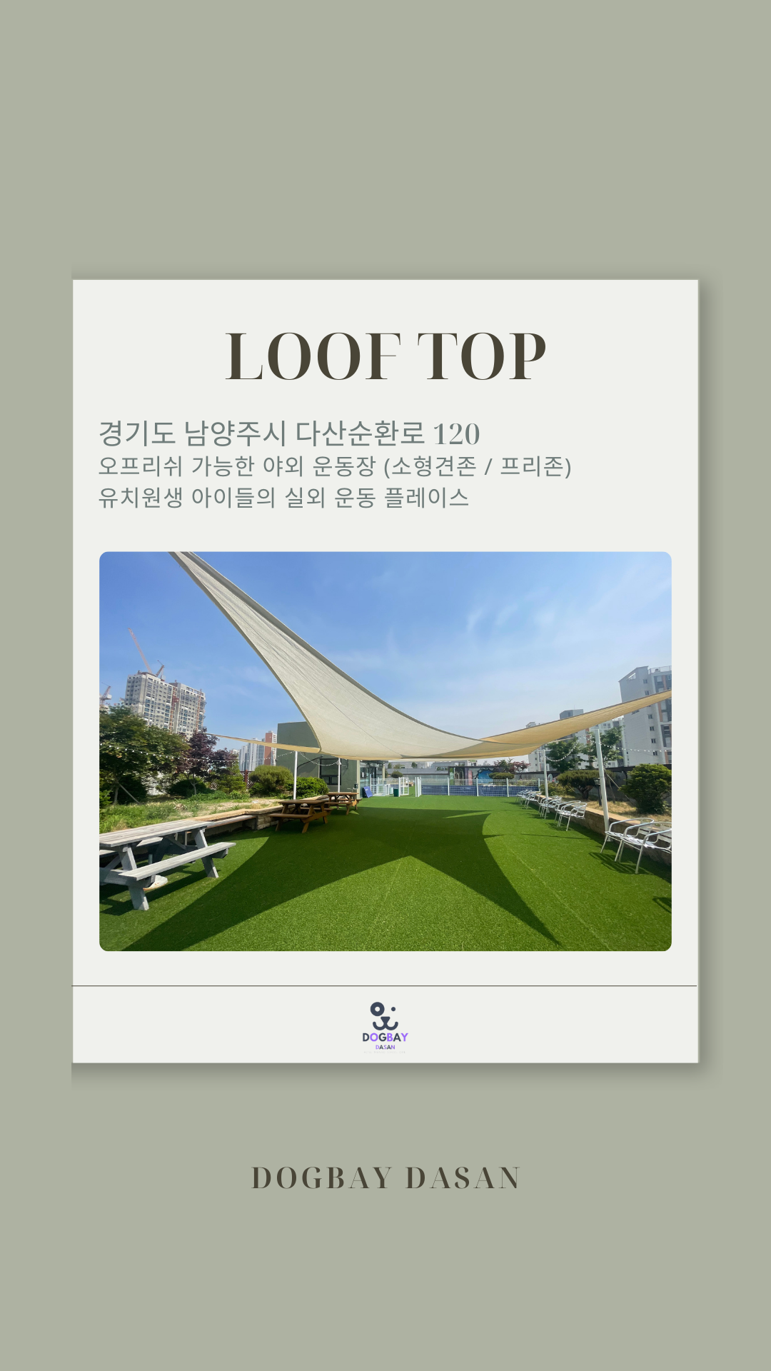 멍카데미&도그베이 4