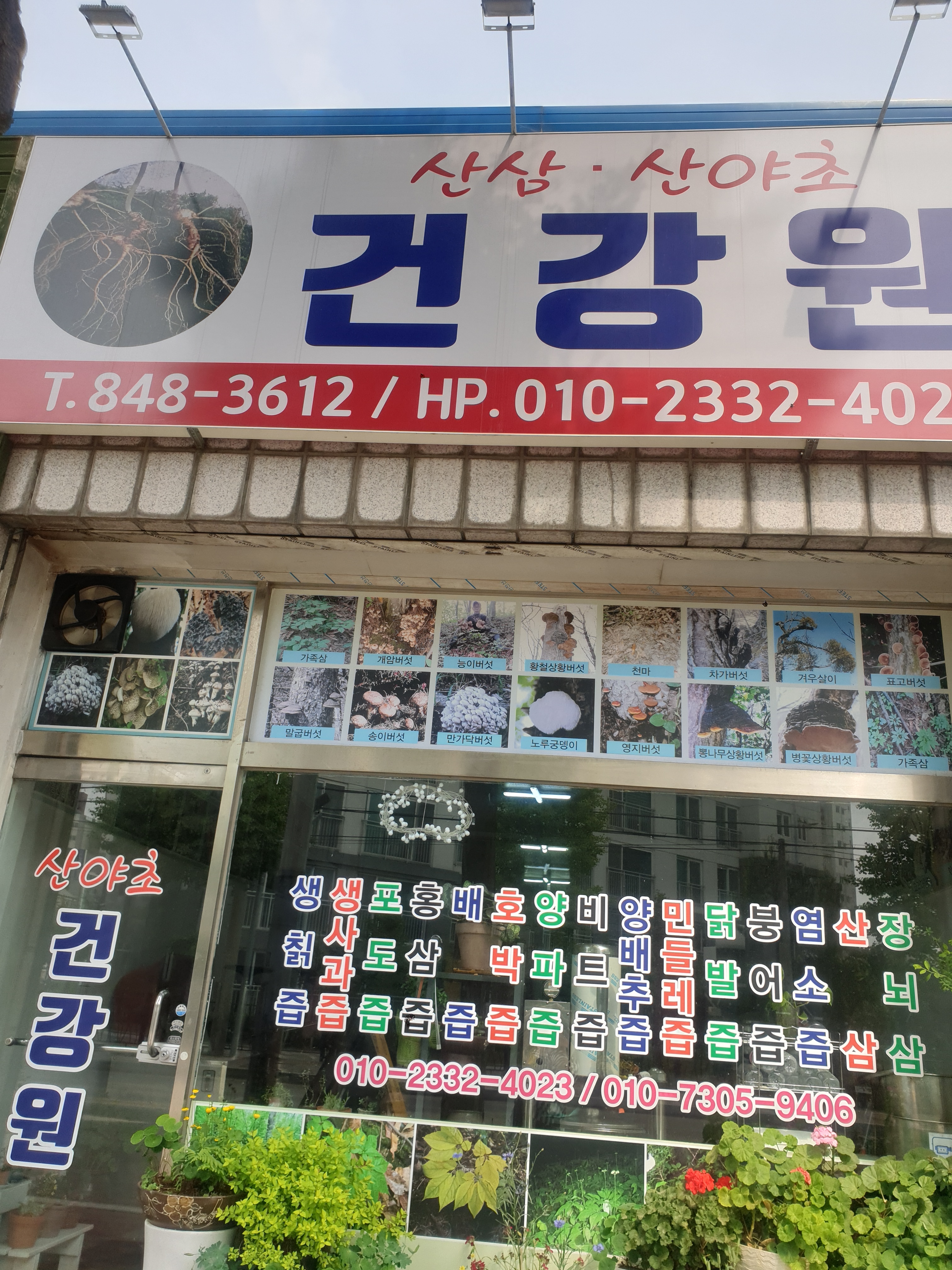 산야초건강원