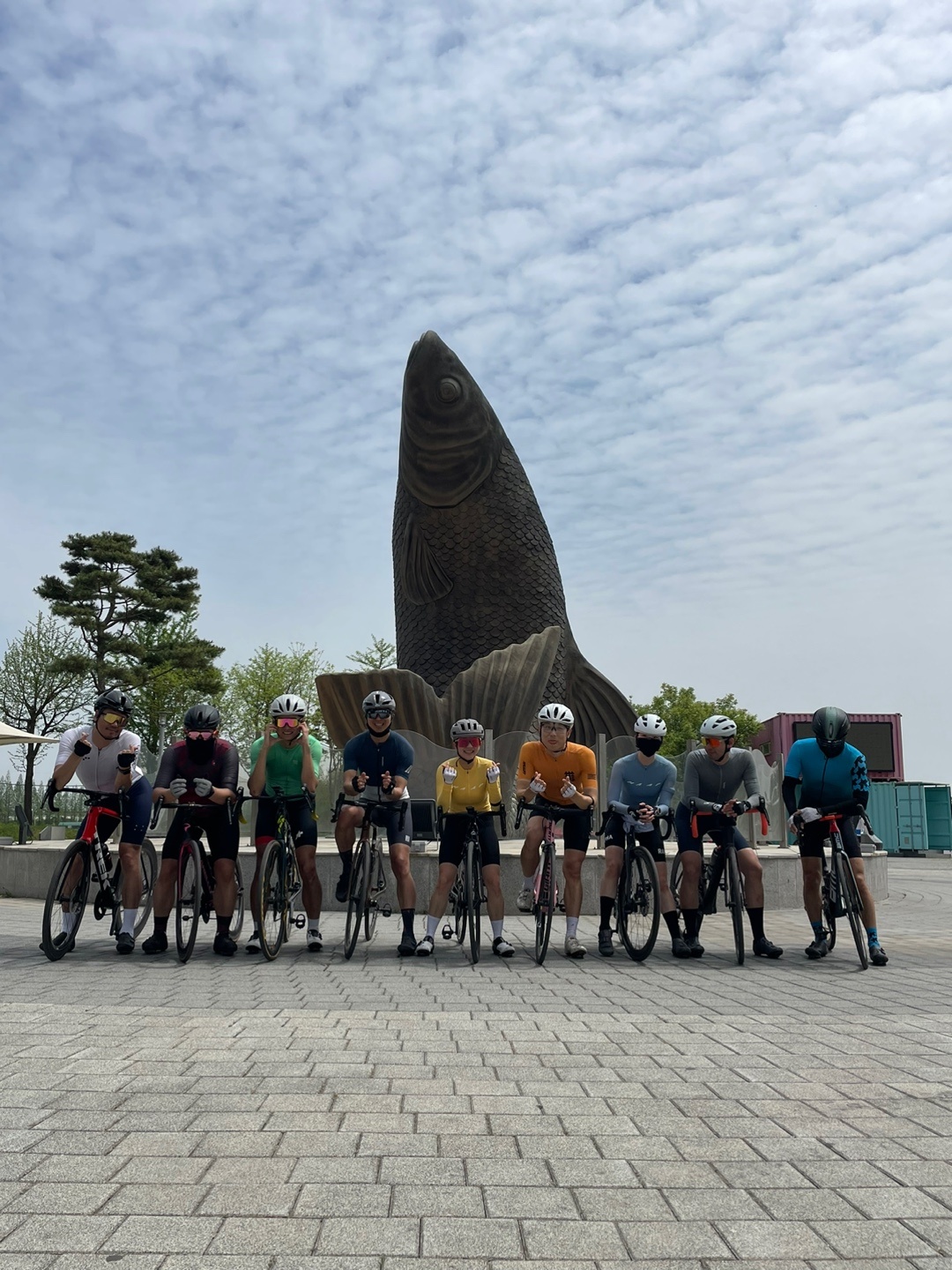 얼라이브 사이클 대표 이미지