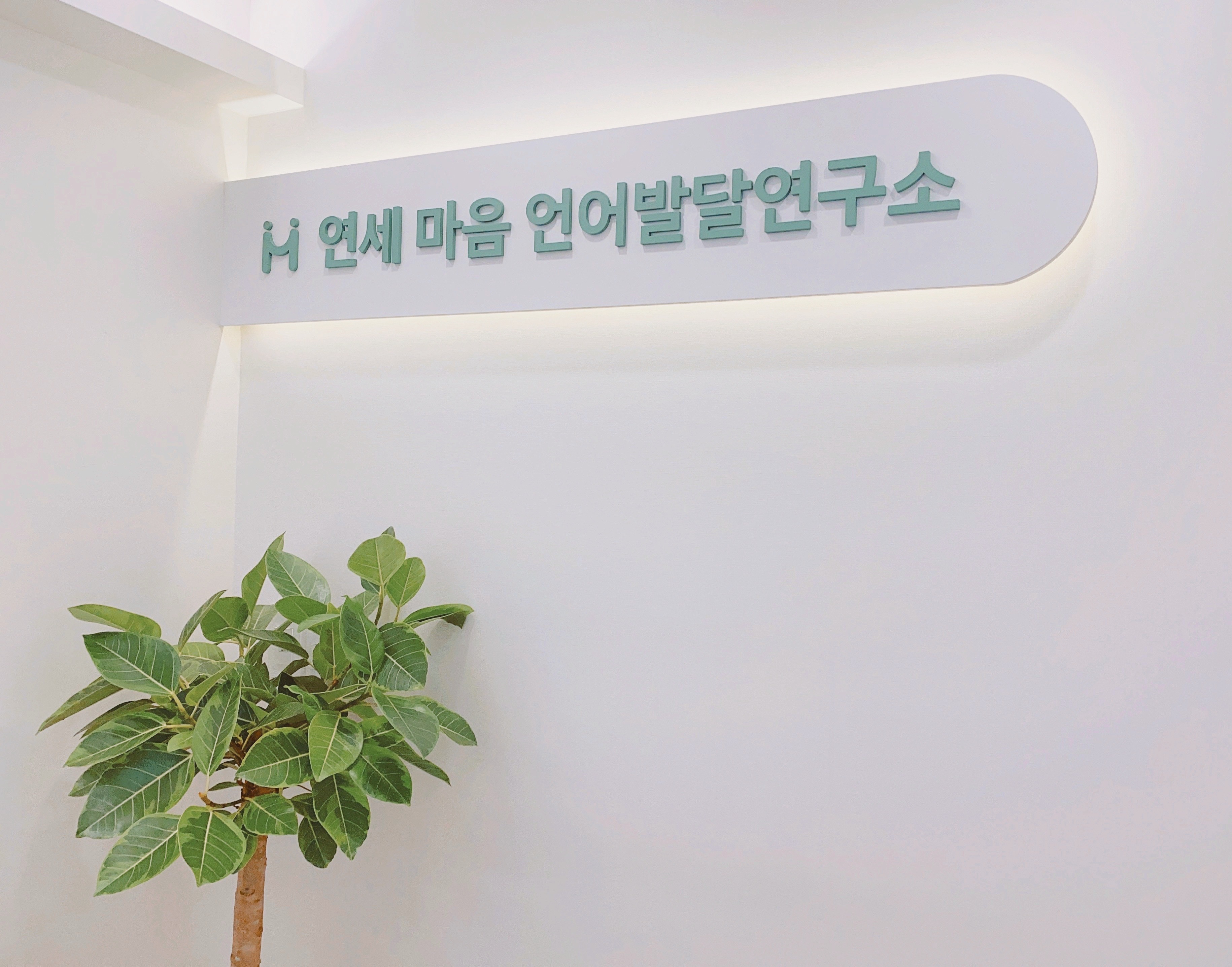 연세마음언어발달연구소 대표 이미지