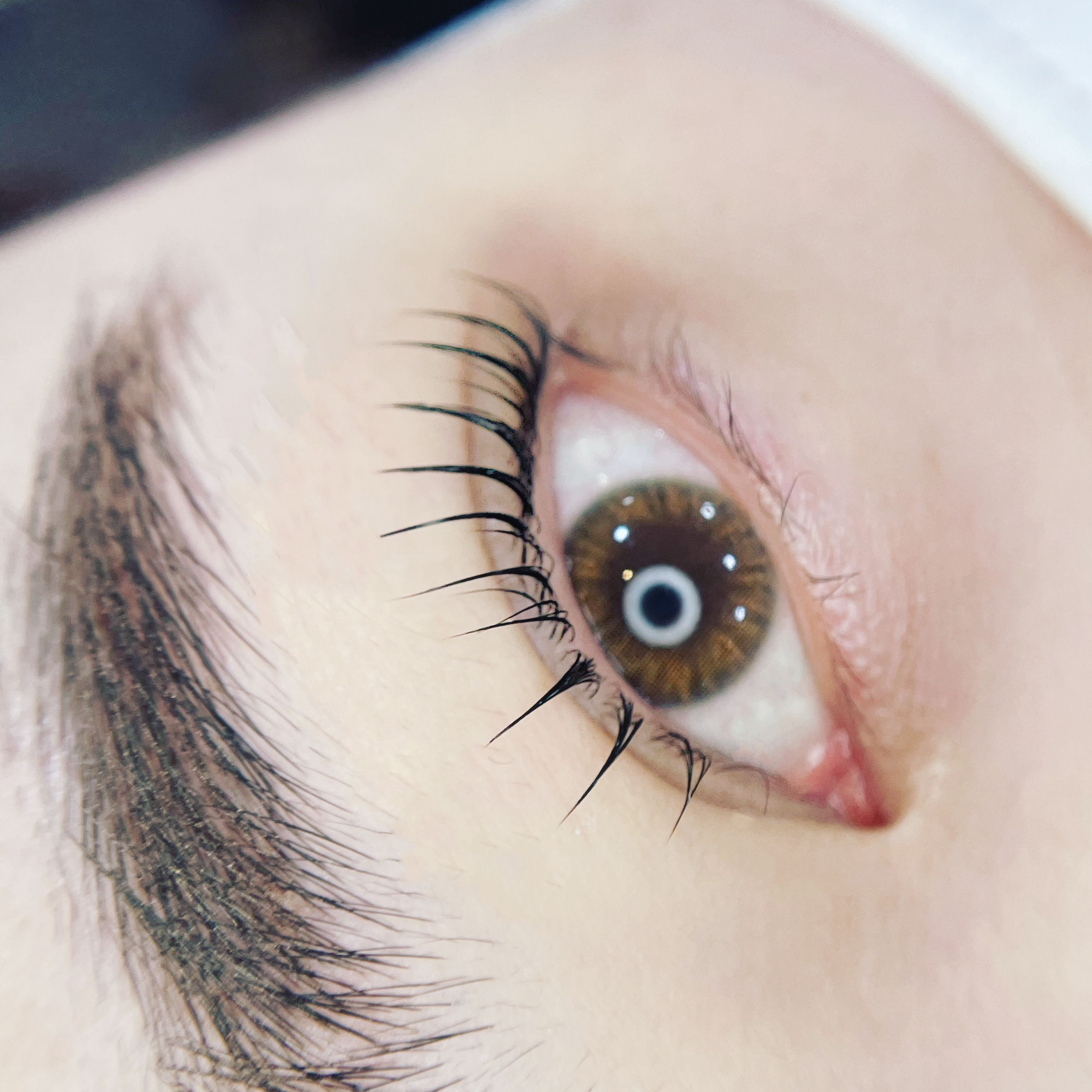 래쉬킹 대표 이미지