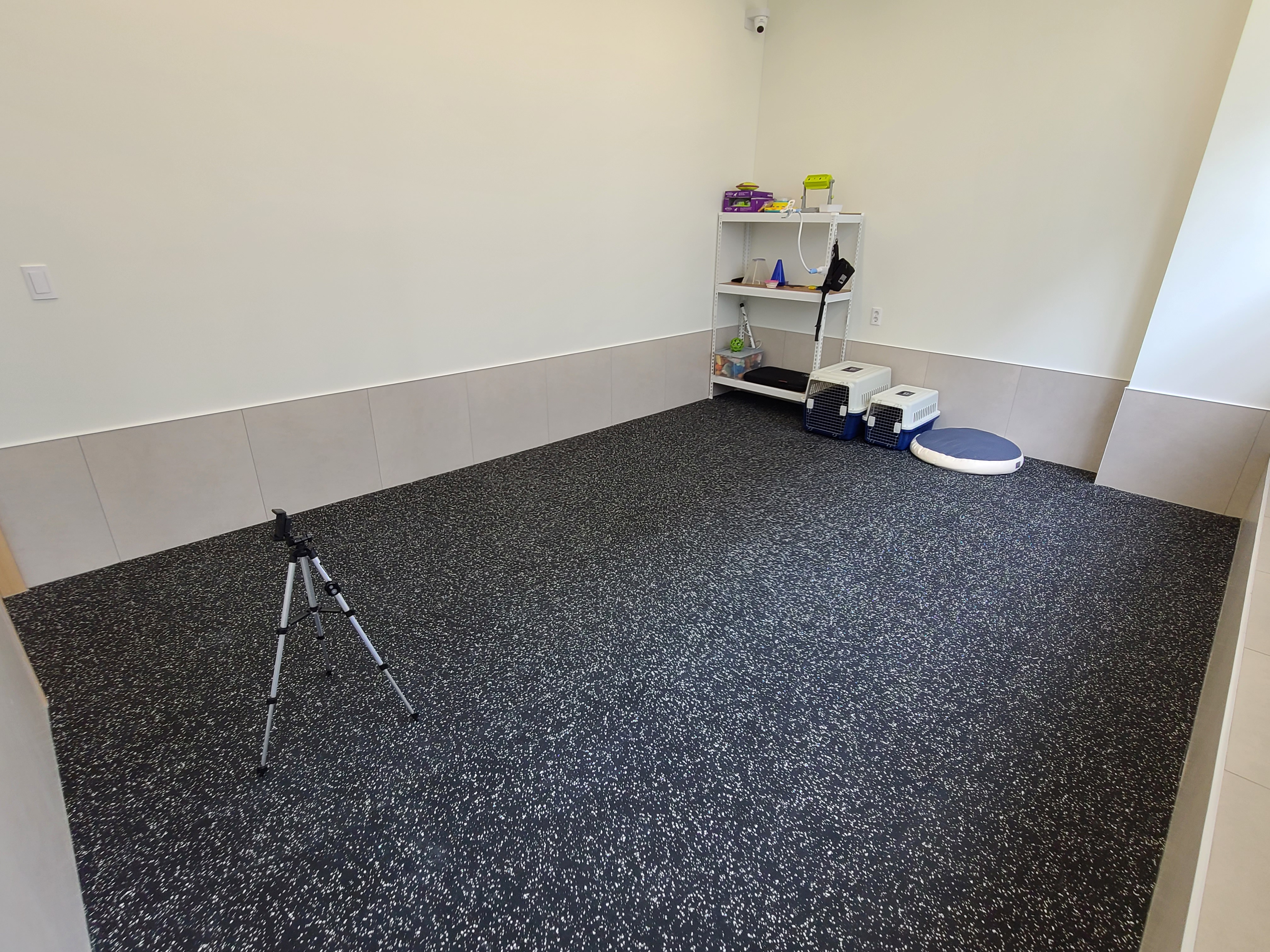 울림 반려견 교육센터 대표 이미지