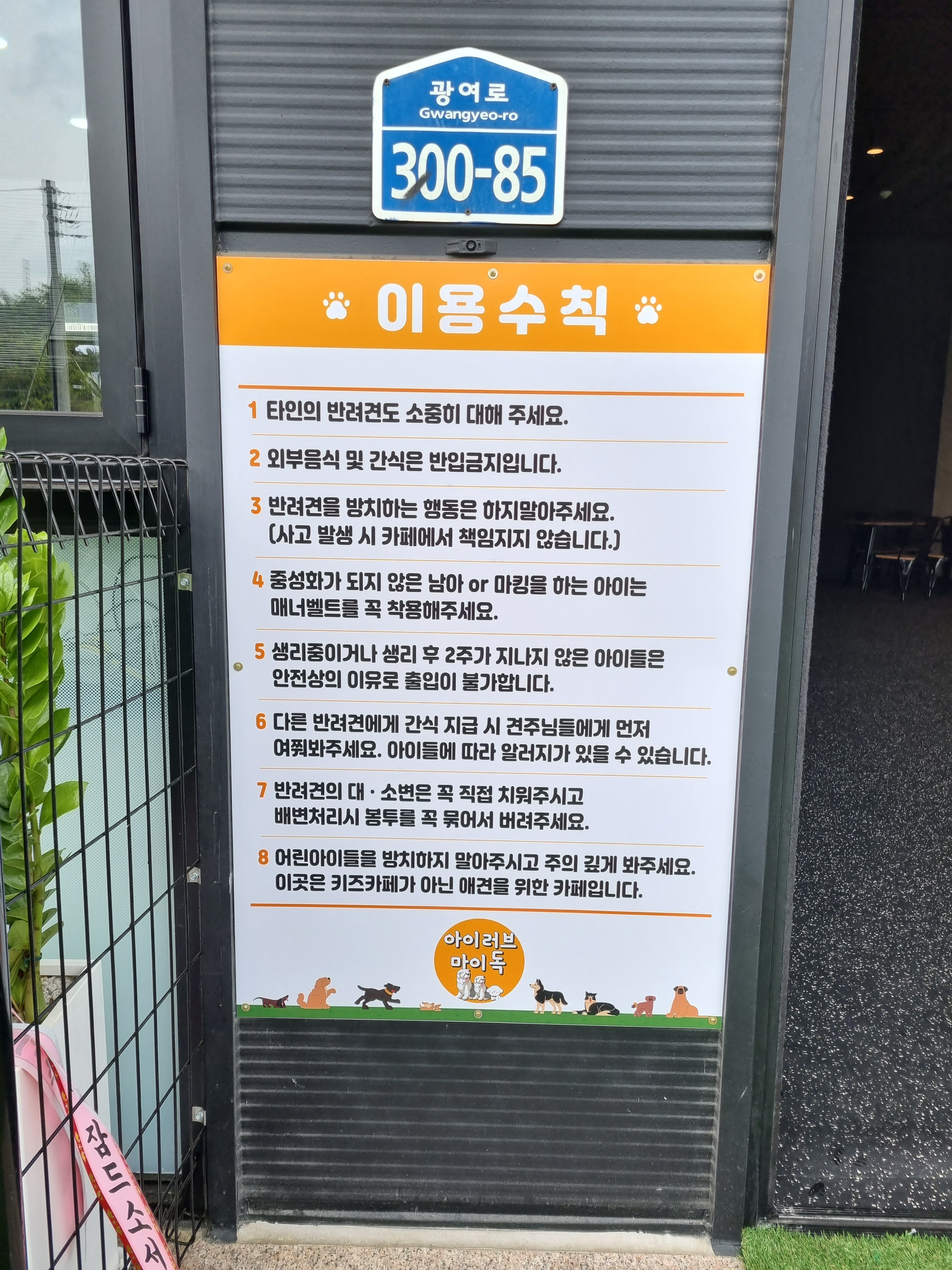 아이러브마이독 대표 이미지