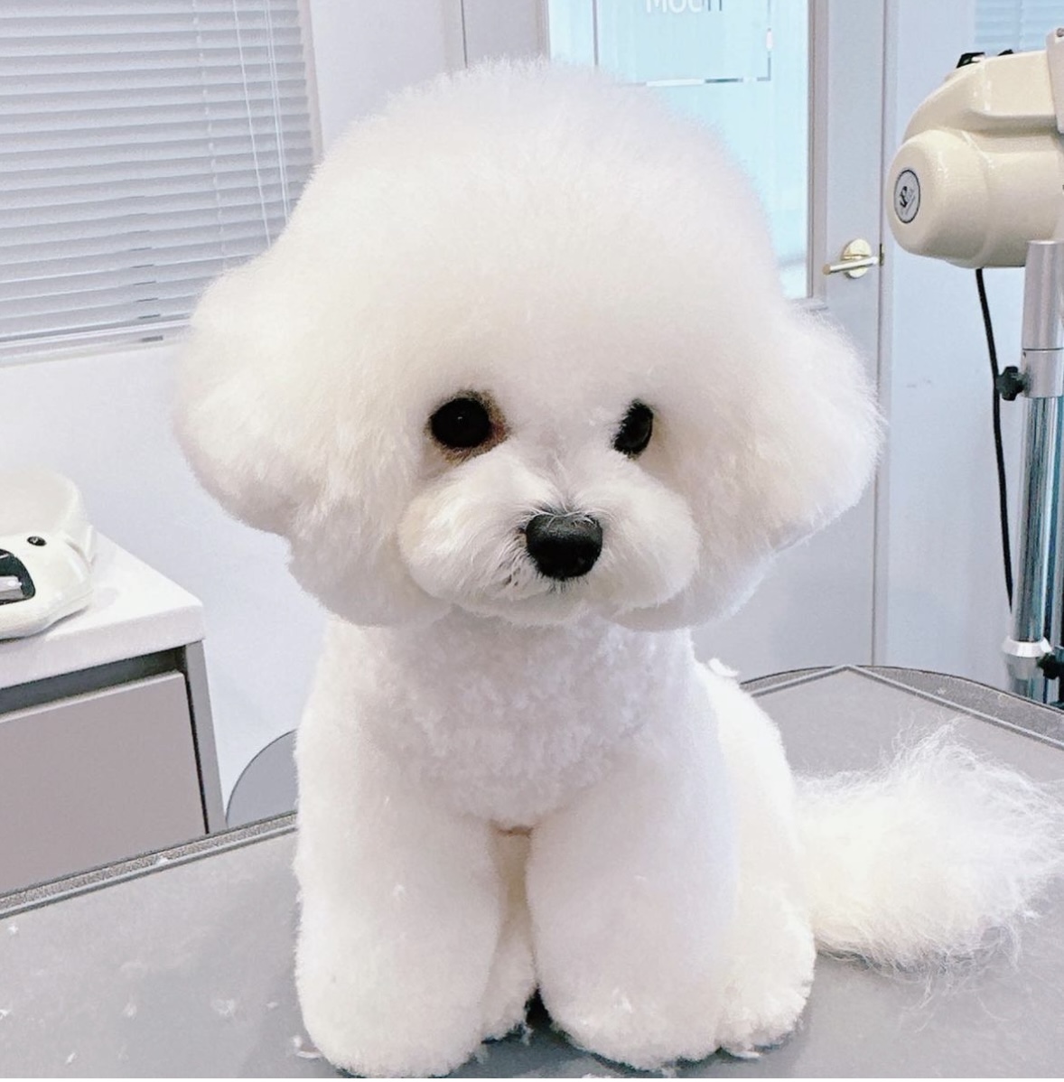 살롱드데꼬레 대표 이미지