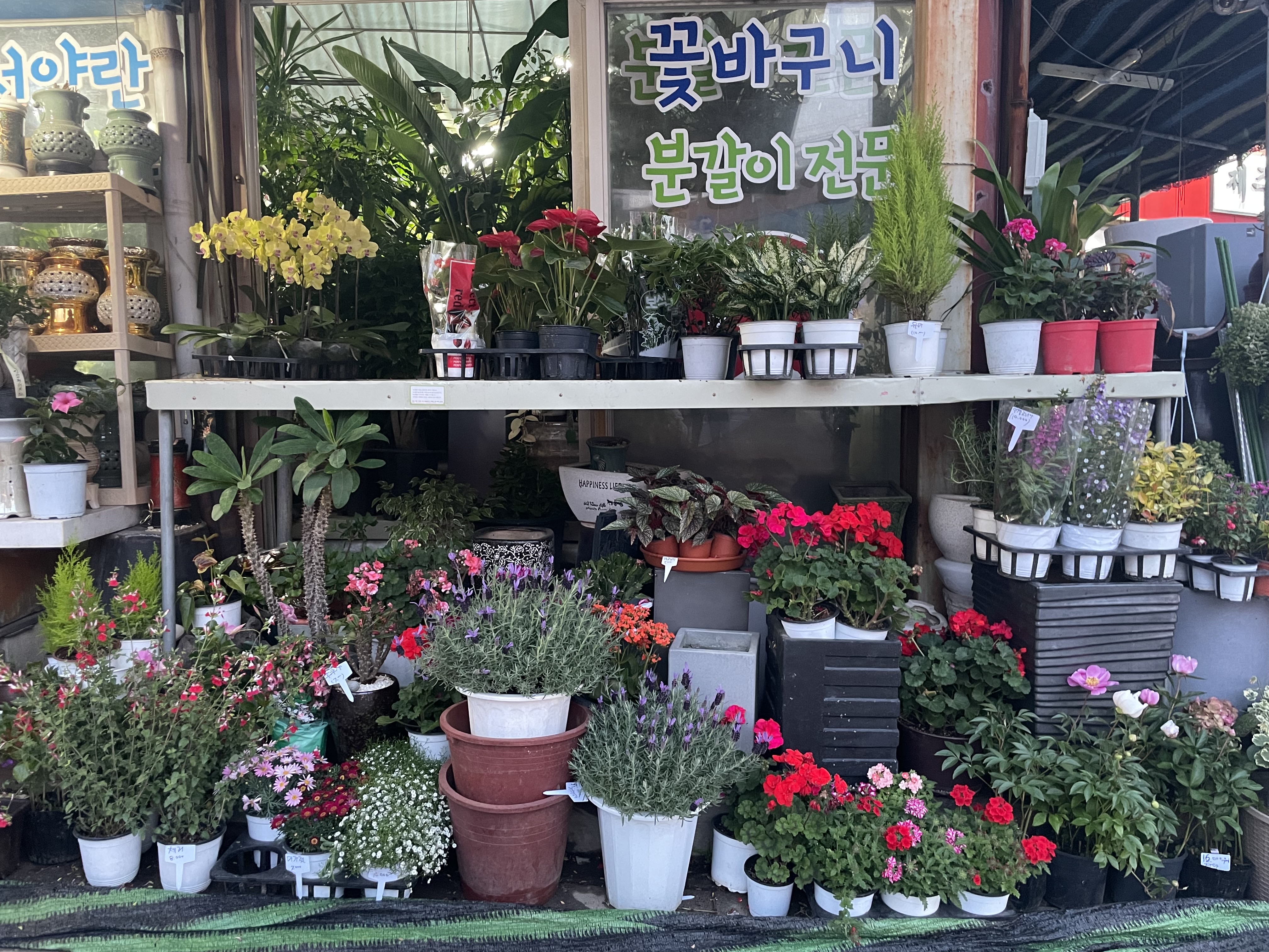 연수꽃식물원
