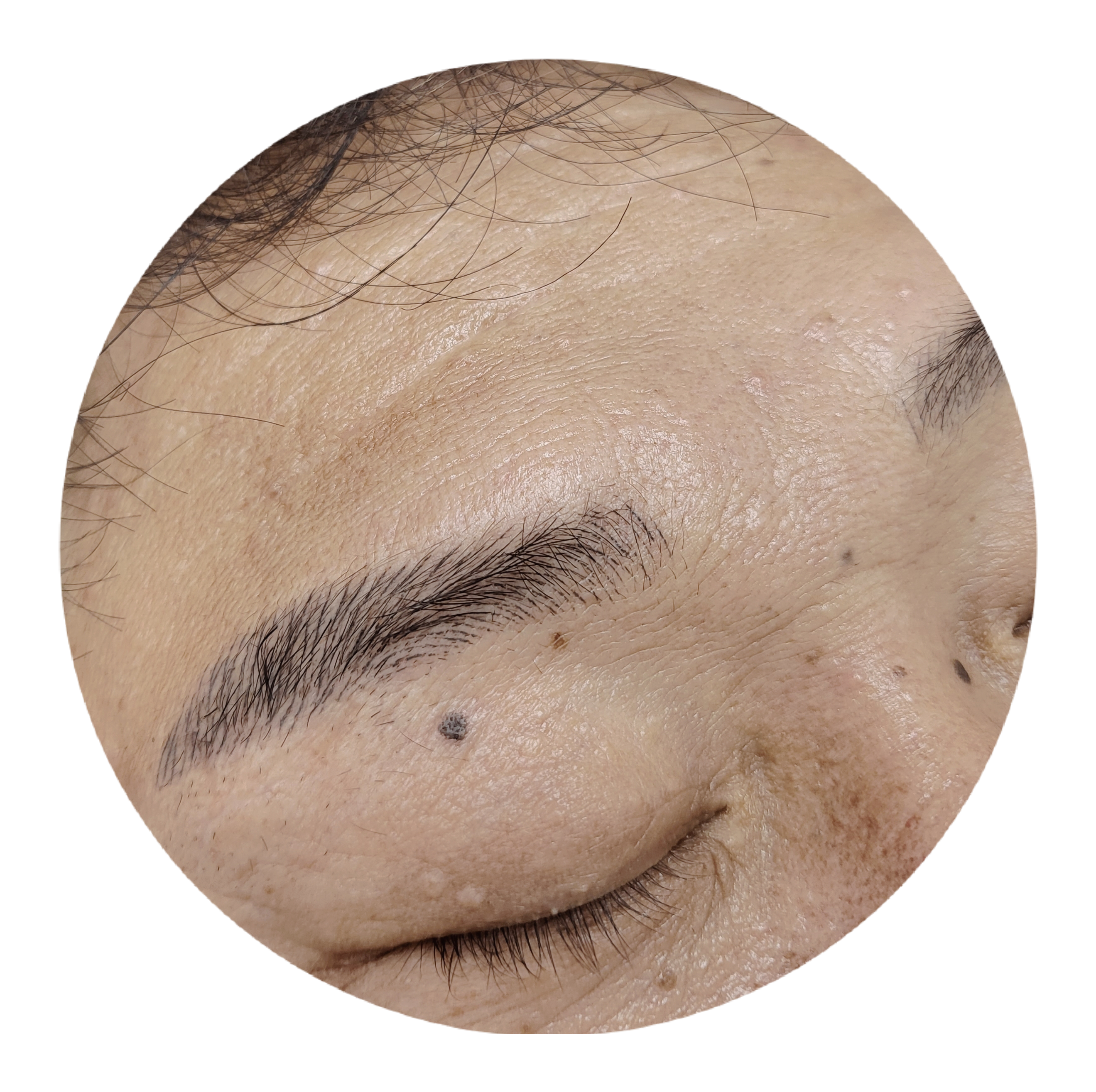 눈썹해염색해 대표 이미지