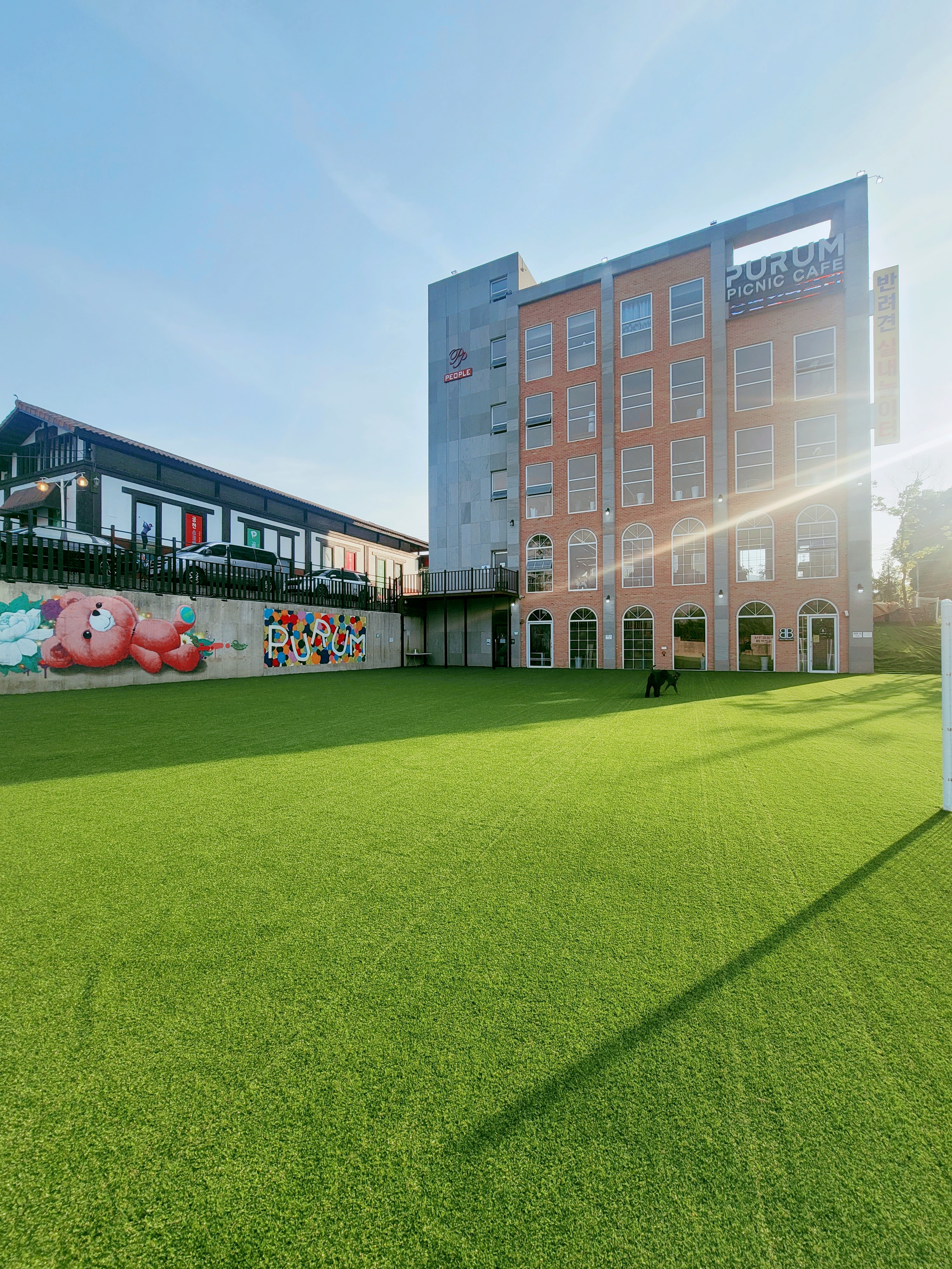 불리빌로우 센터 애견유치원&애견호텔&데이케어&애견훈련 대표 이미지