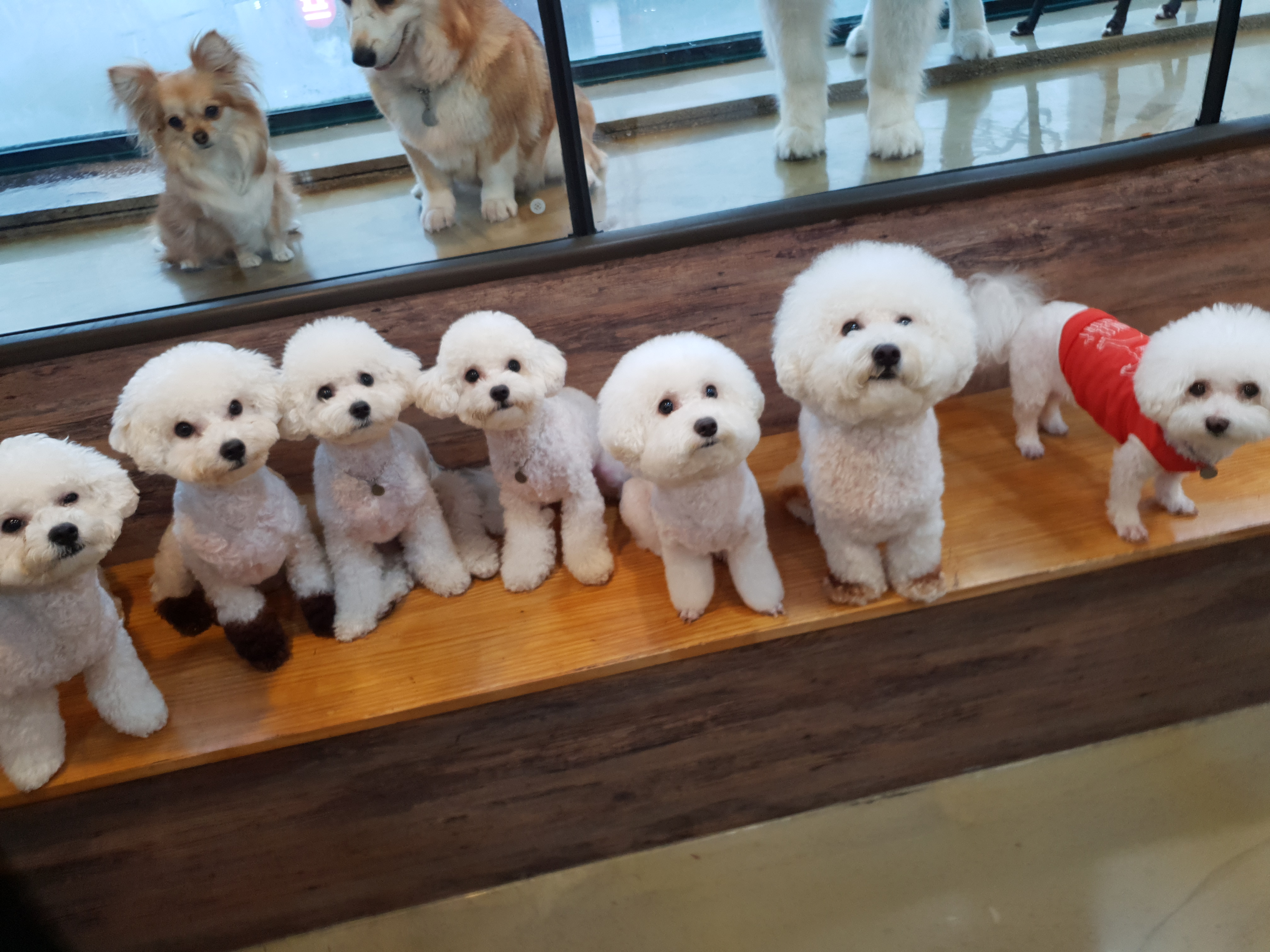 포포앤미루 3