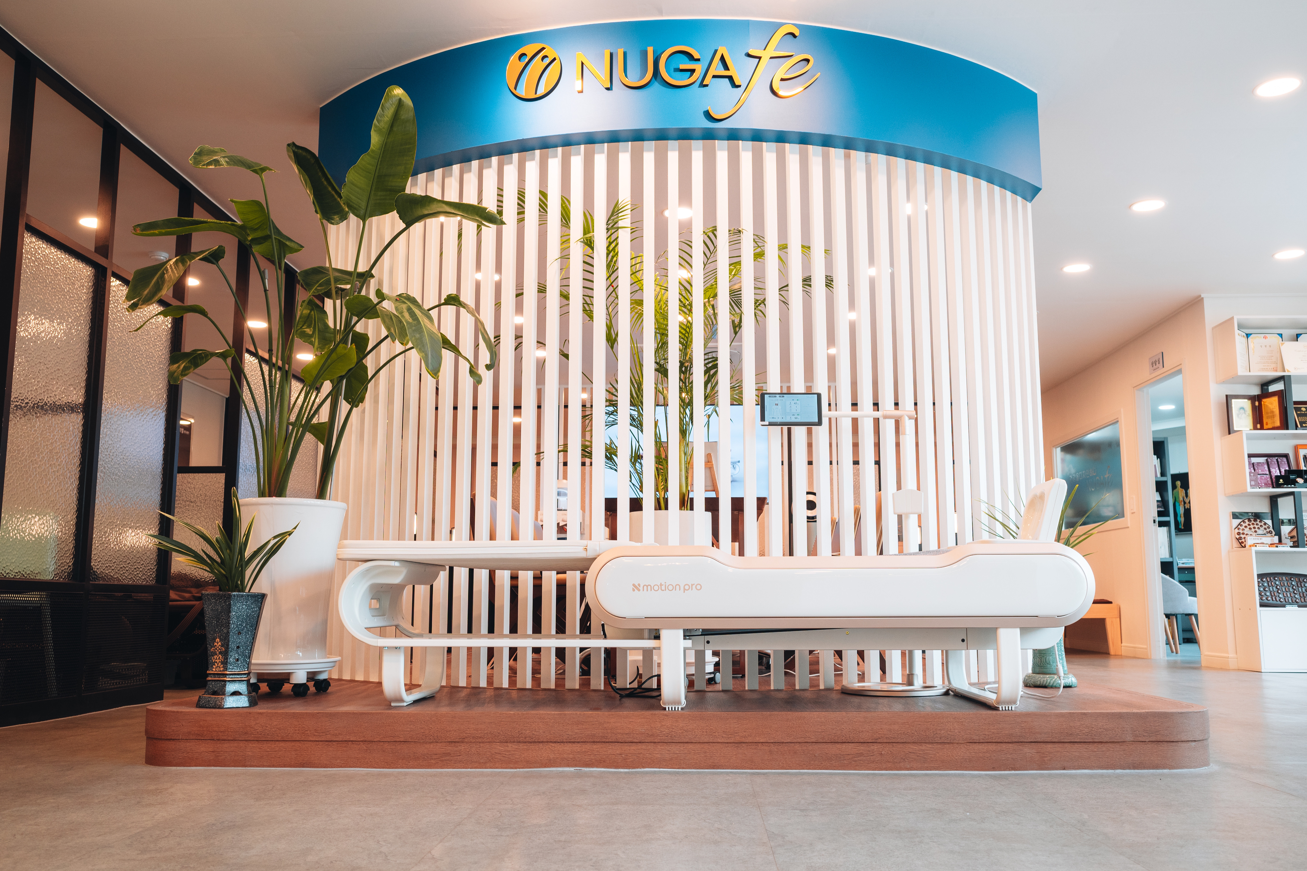 누가의료기 누가페 남포점