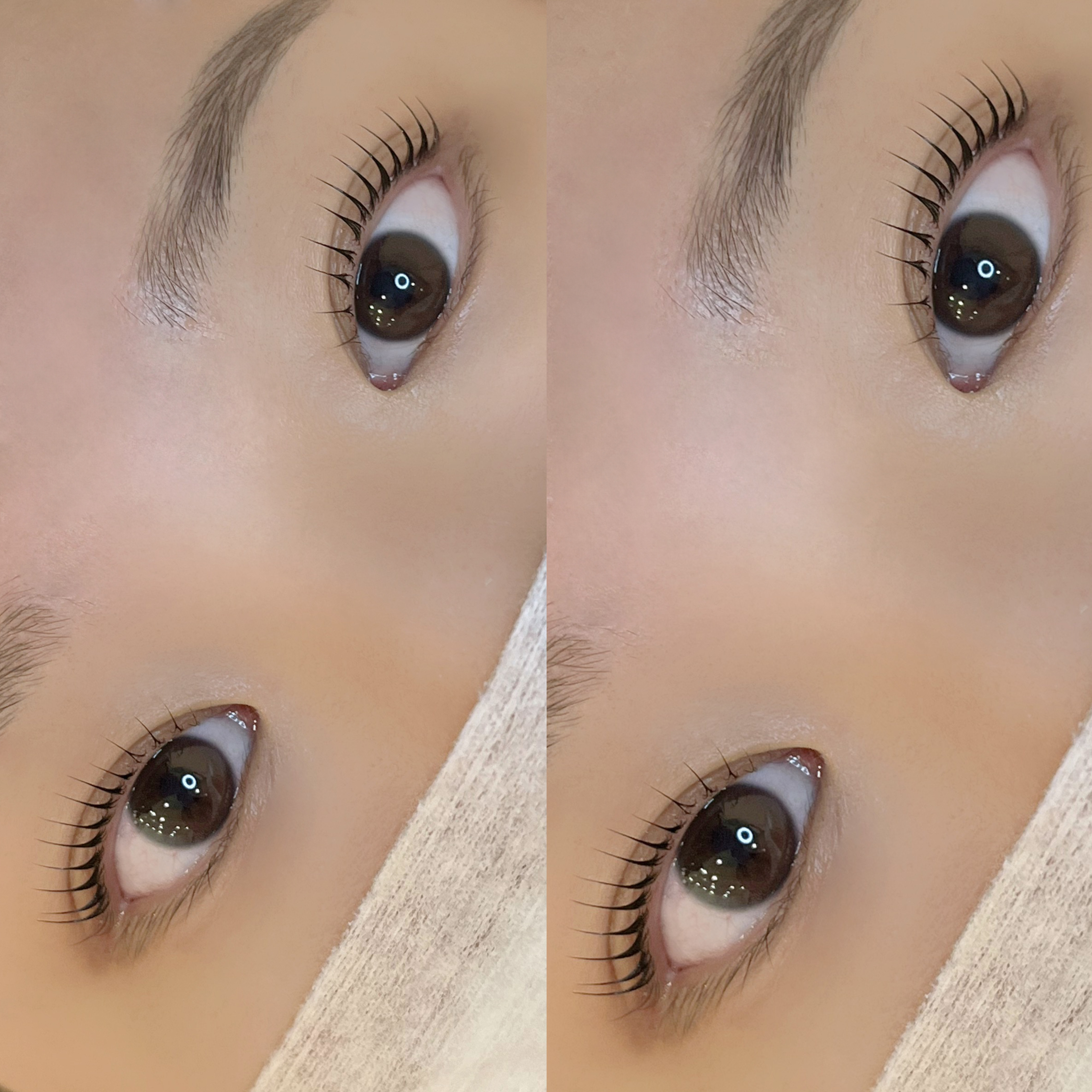 해이브제 스튜디오 대표 이미지