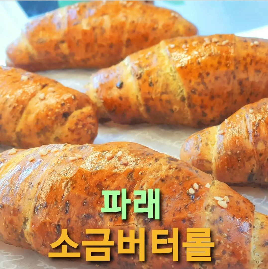 다코네 구좌 평대리 세화 카페