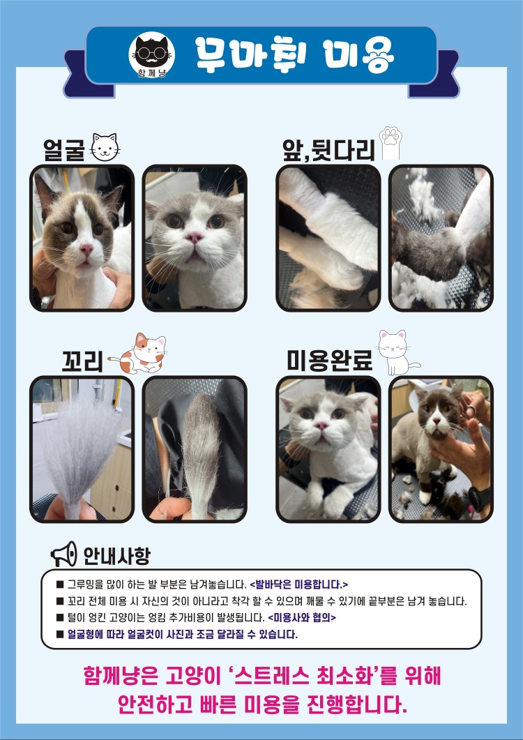 함께냥 대전점 대표 이미지