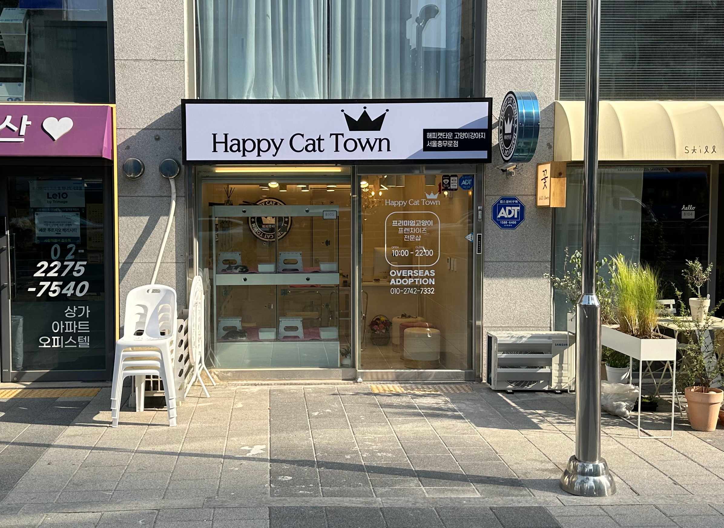 해피캣타운 고양이강아지 서울충무로점 대표 이미지
