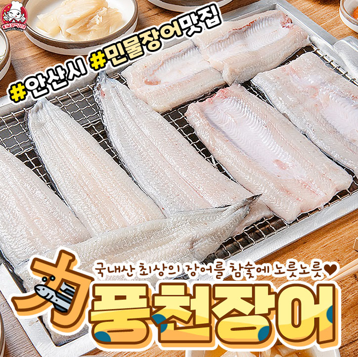 력 풍천장어